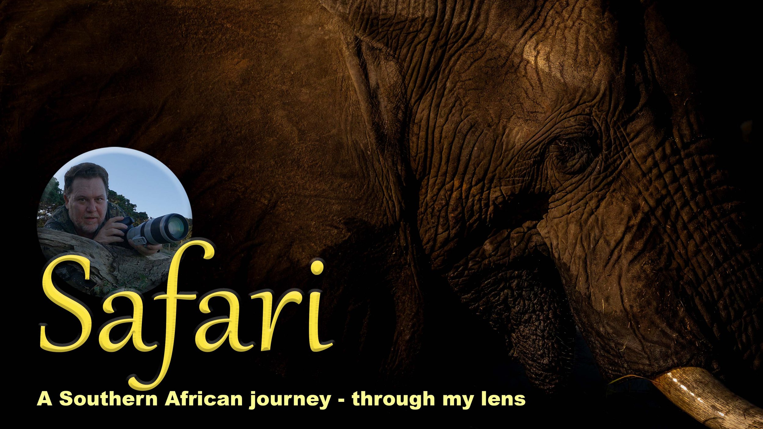 Safari- a Southern African journey through my lens