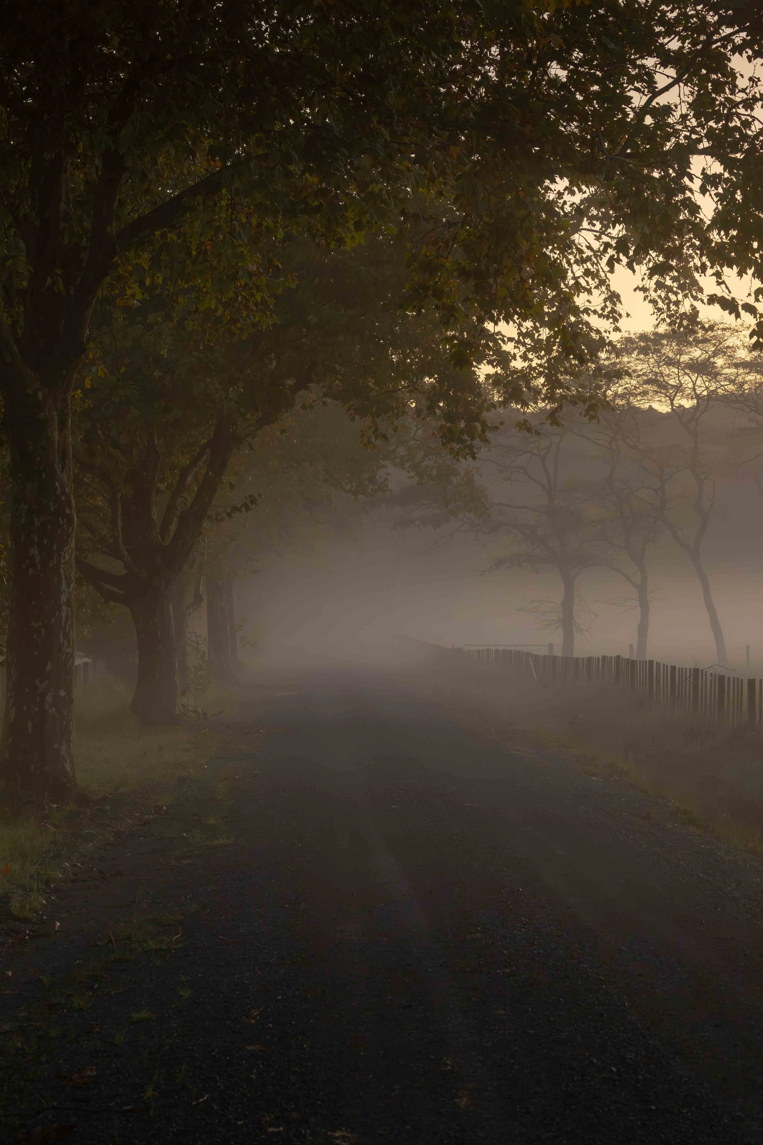 Autumn 17 Apr26-1 webcopy.jpg