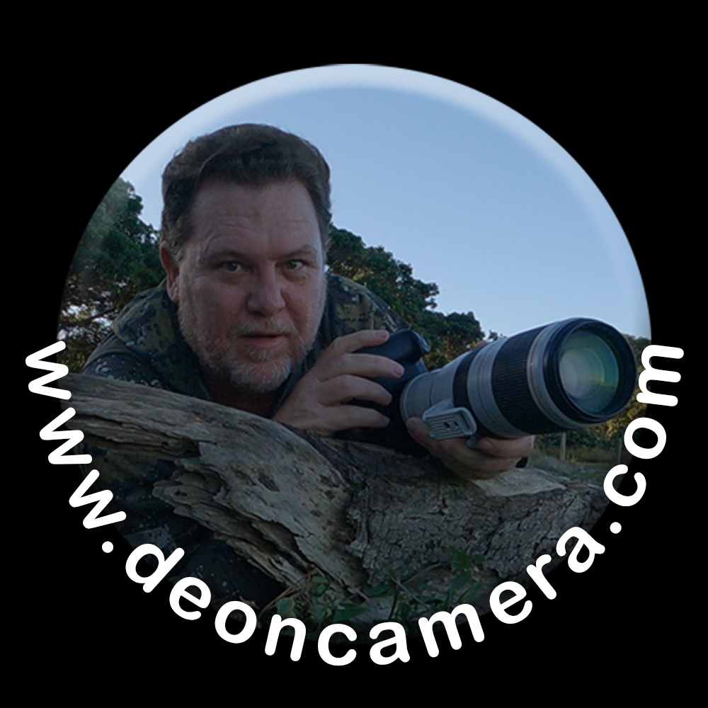 AWARD-WINNING WILDLIFE AND LANDSCAPE PHOTOGRAPHER-Deon van Rooyen