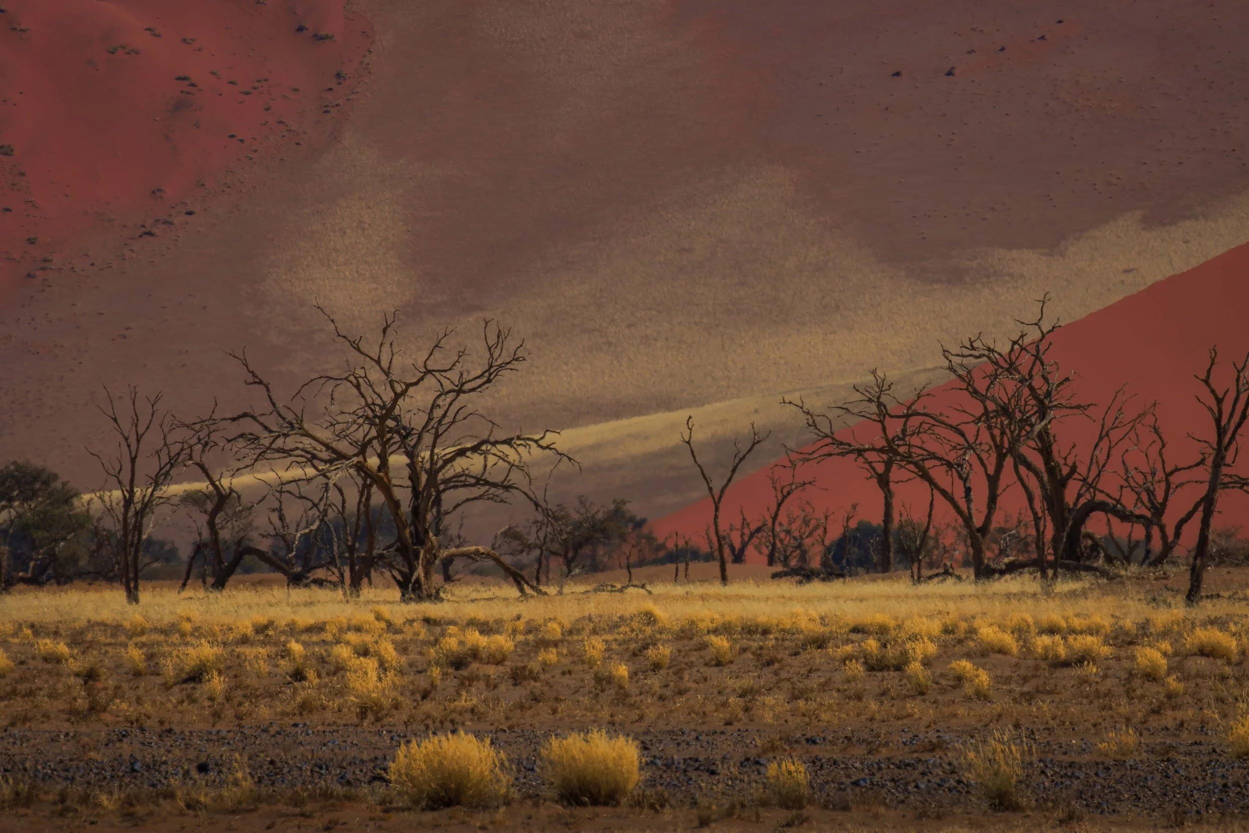 landscape 21 webcopy.jpg