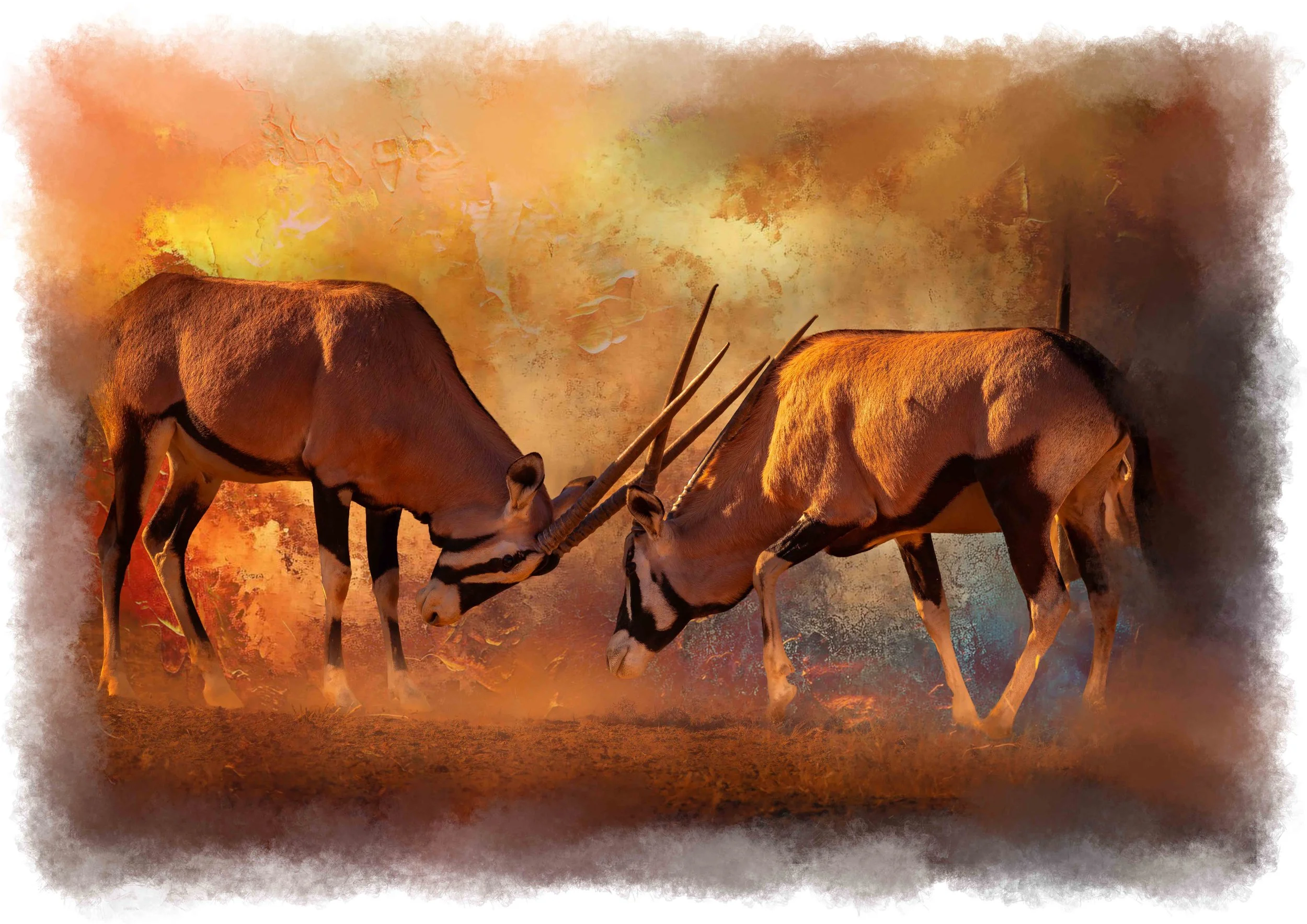 Fine art image of Oryx in golden African colours