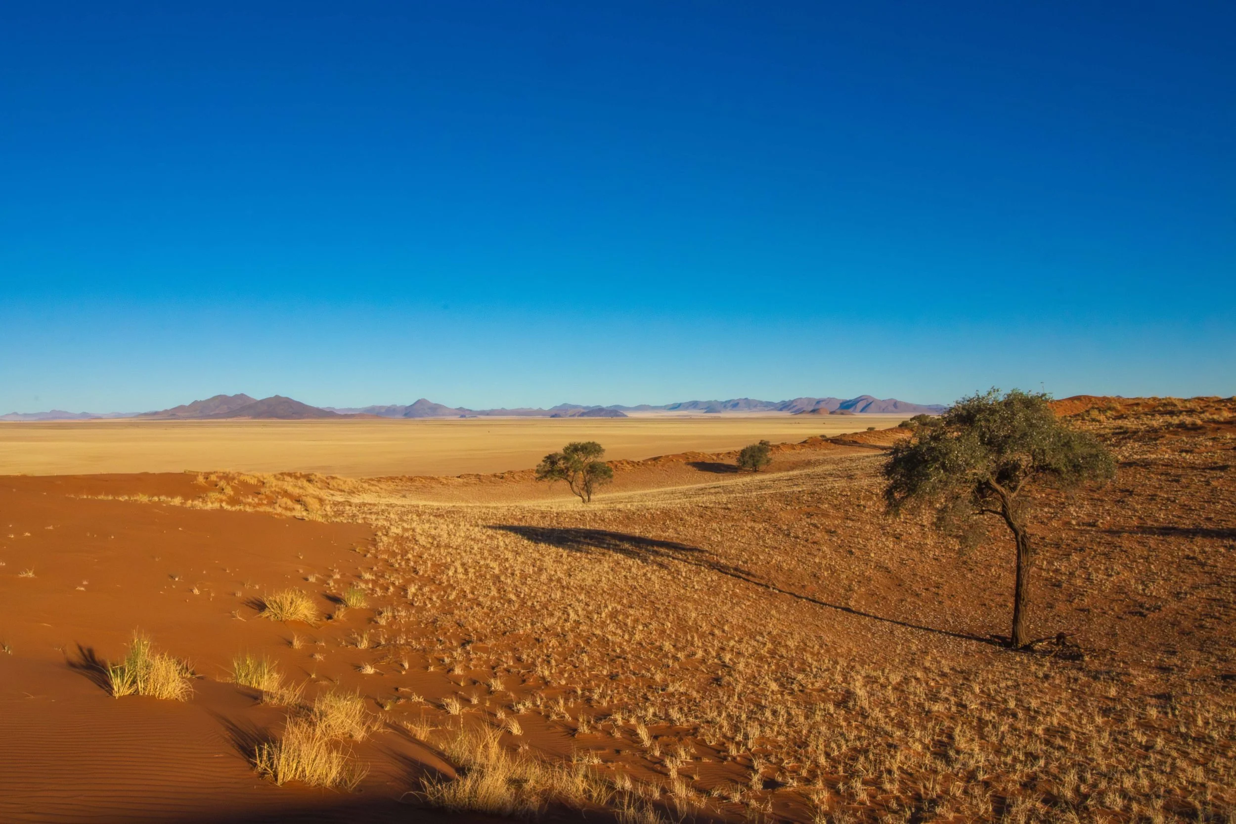 LDeonvanRooyenThe Namib webcopy.jpg