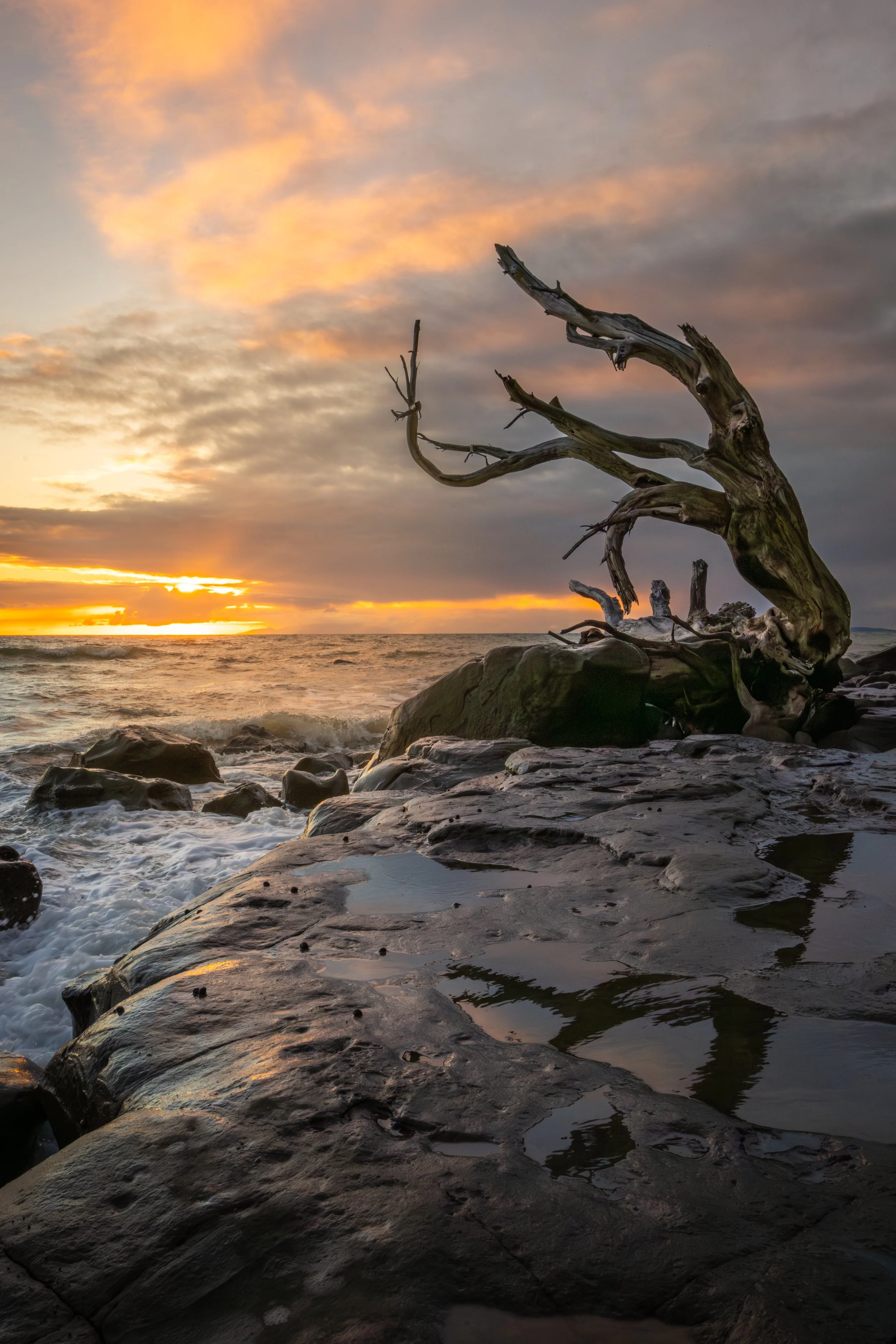 New Zealand wild beach sunrise