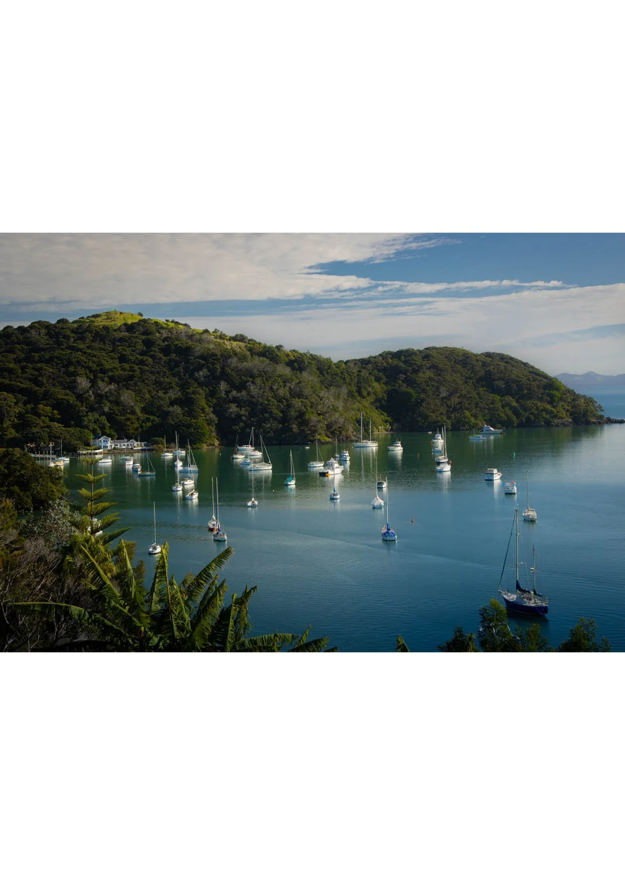 A3 (297mmx420mm) Paradise Island, New Zealand