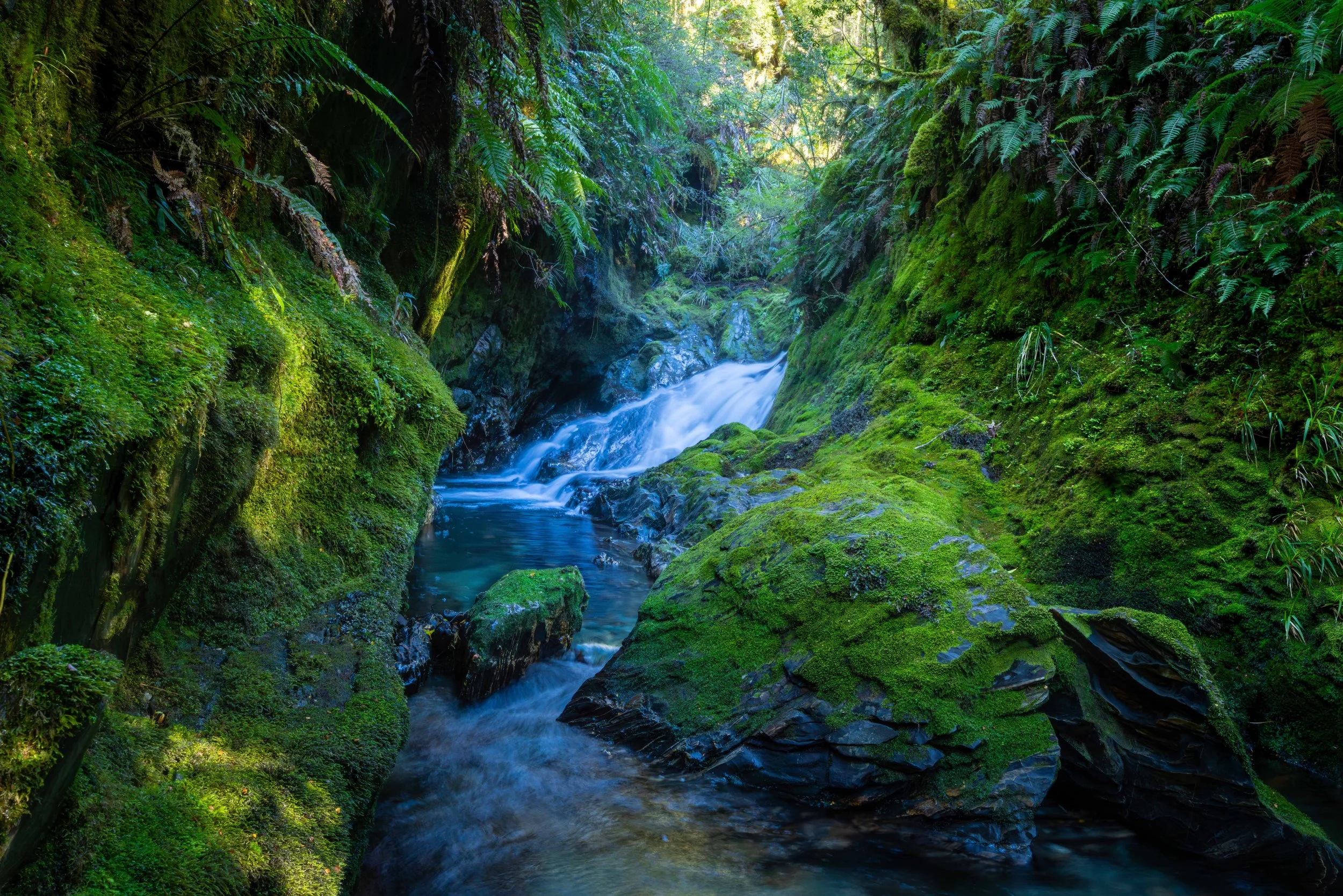 canna creek 5 web copy.jpg