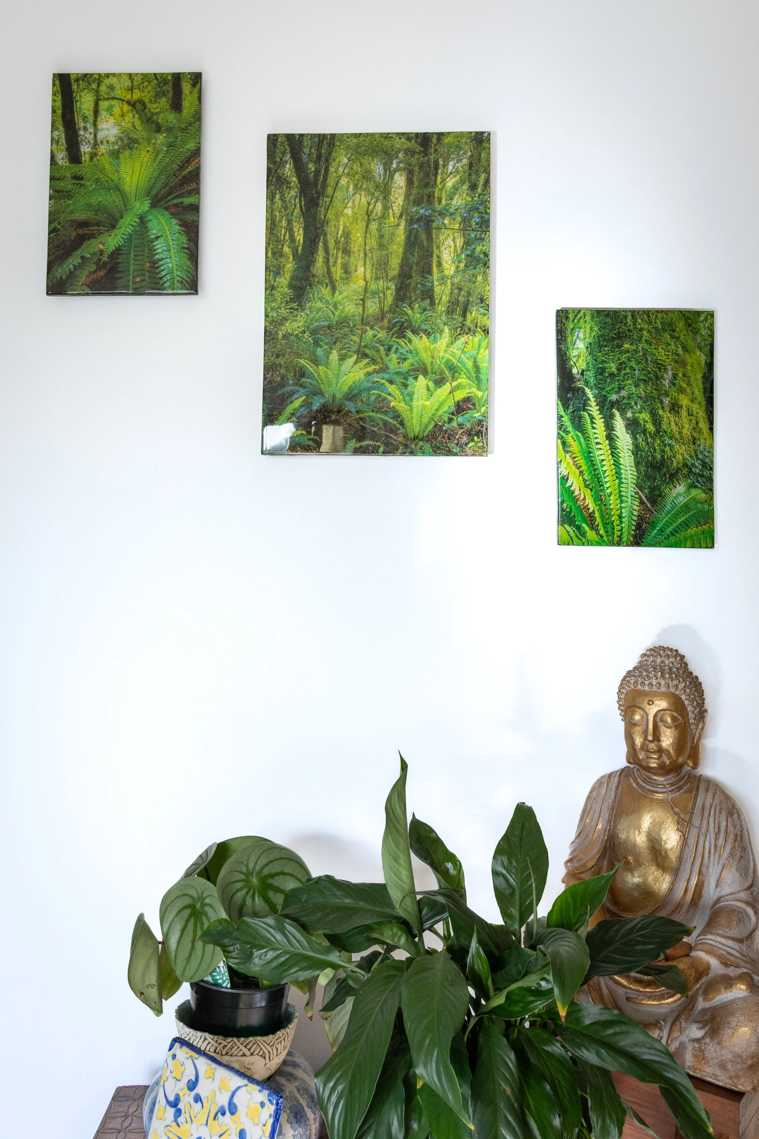 forest set 2.jpg