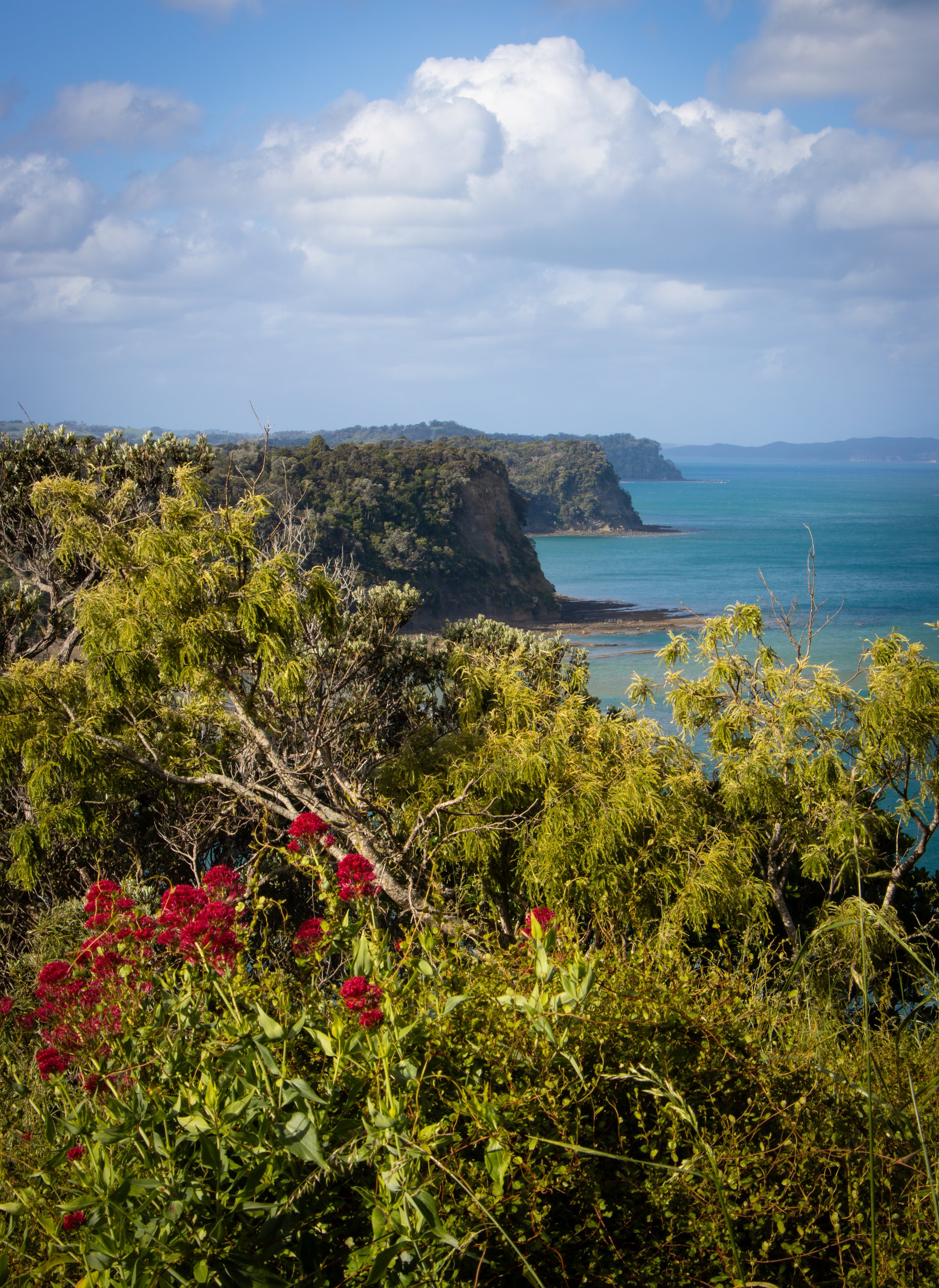nz seascape.jpg