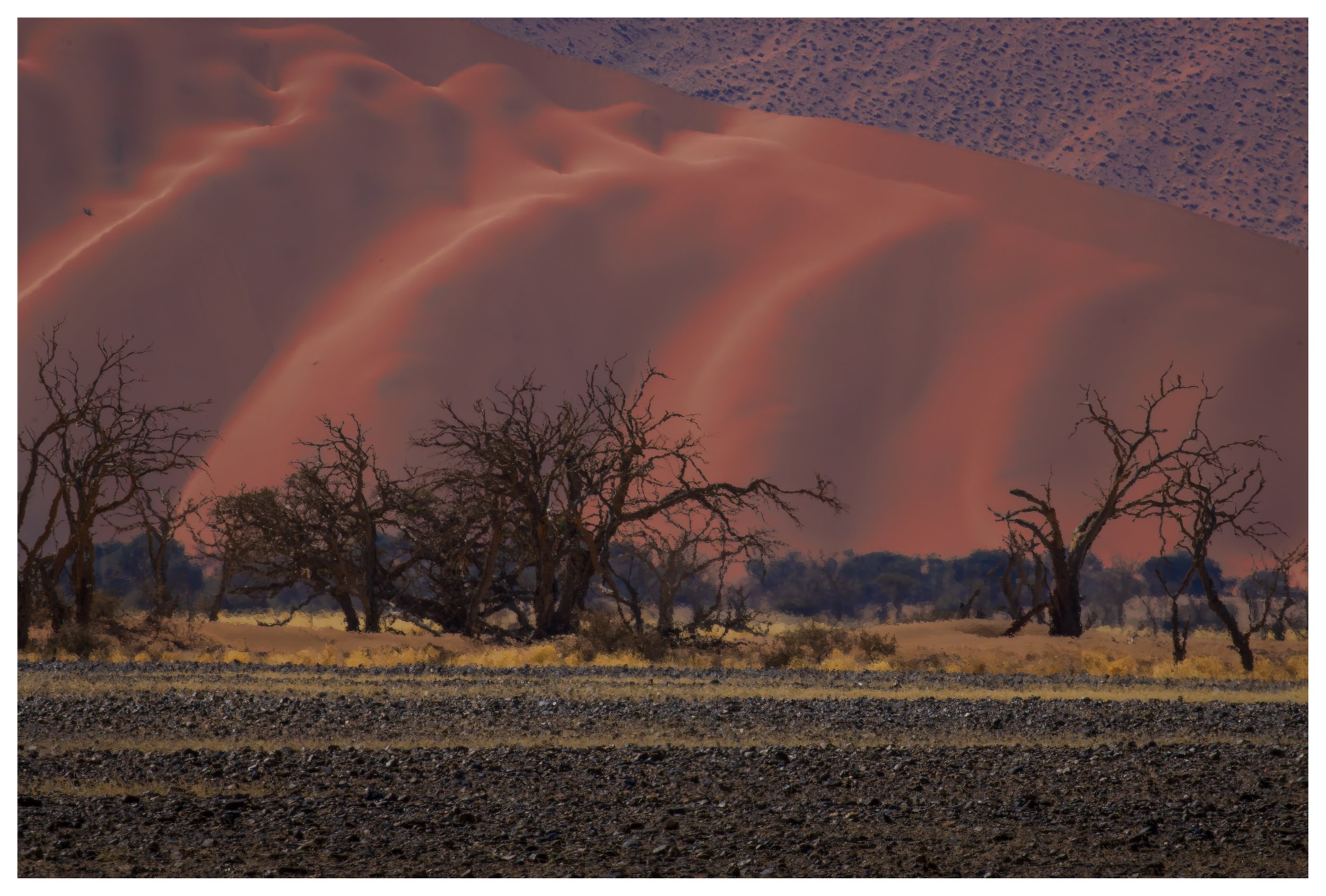 The Namib Desert, Namibia