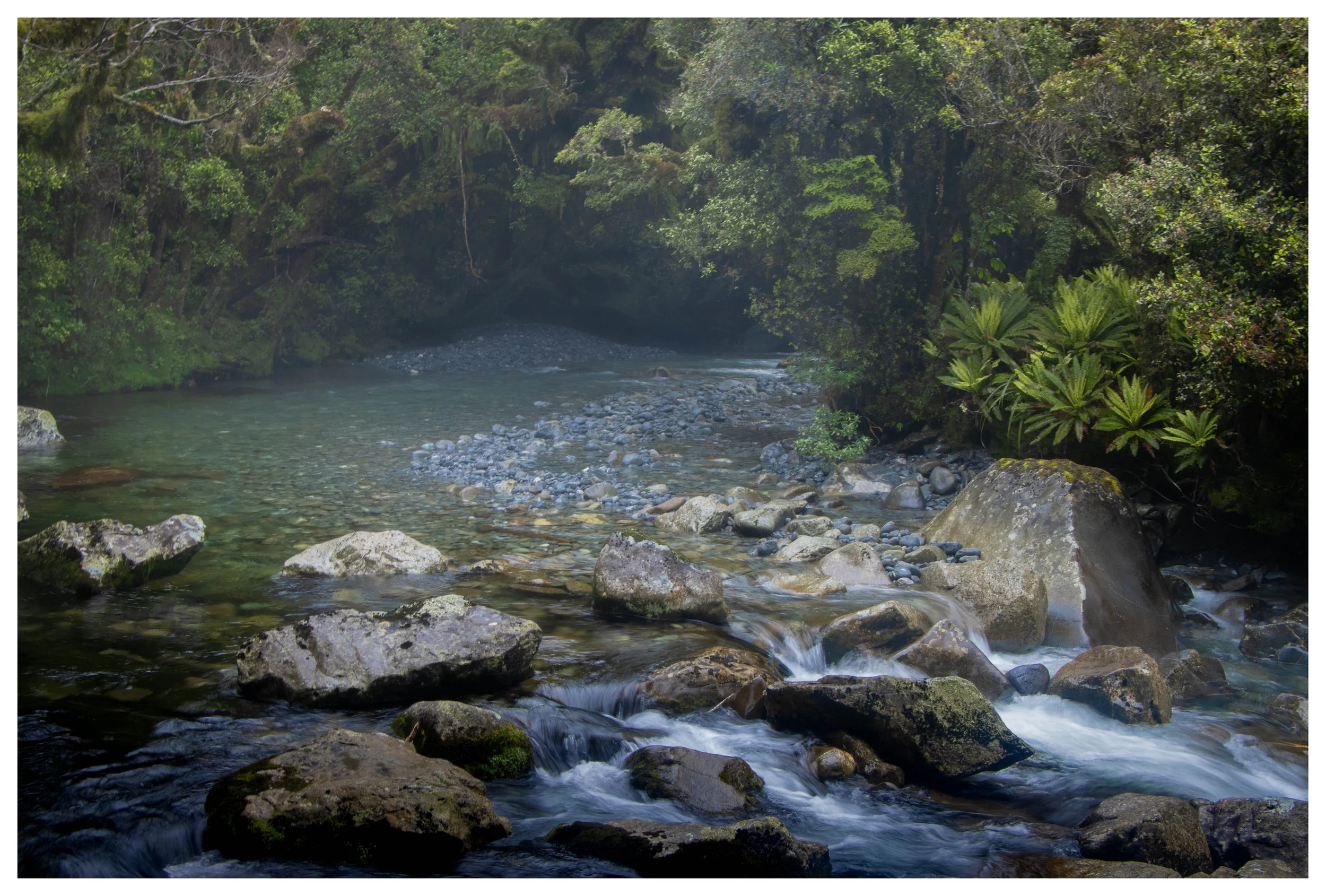 Milford Sound, South Island, New Zealand