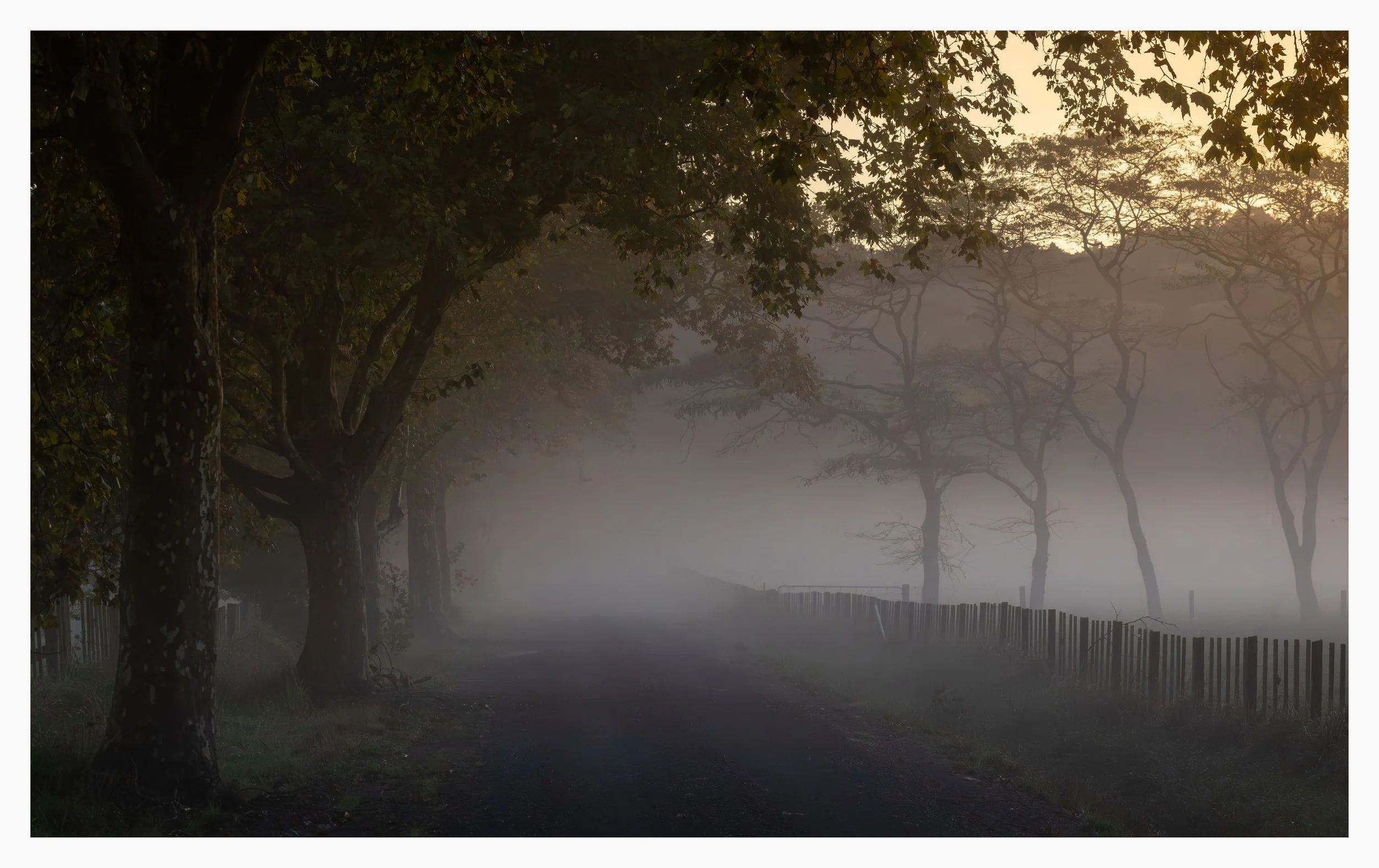 Serene Misty Morning Landscape Print A3