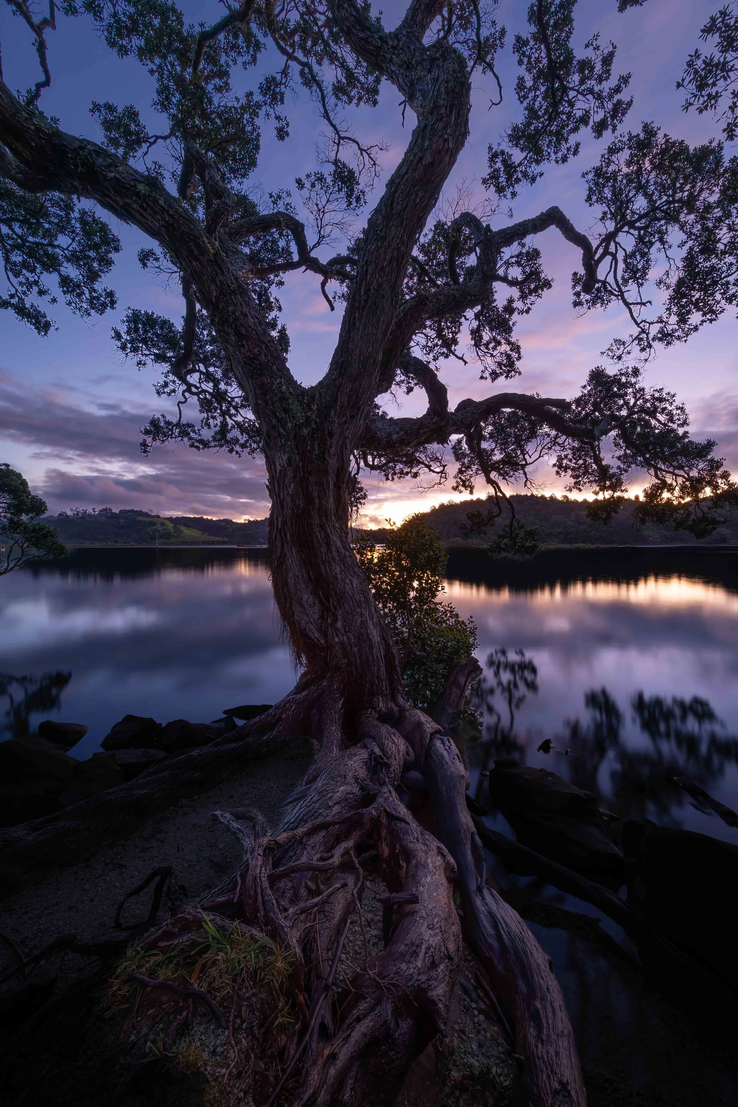 Sunset reflections, long exposure Landscape Image, Wenderholm Regional Park, New Zealand
