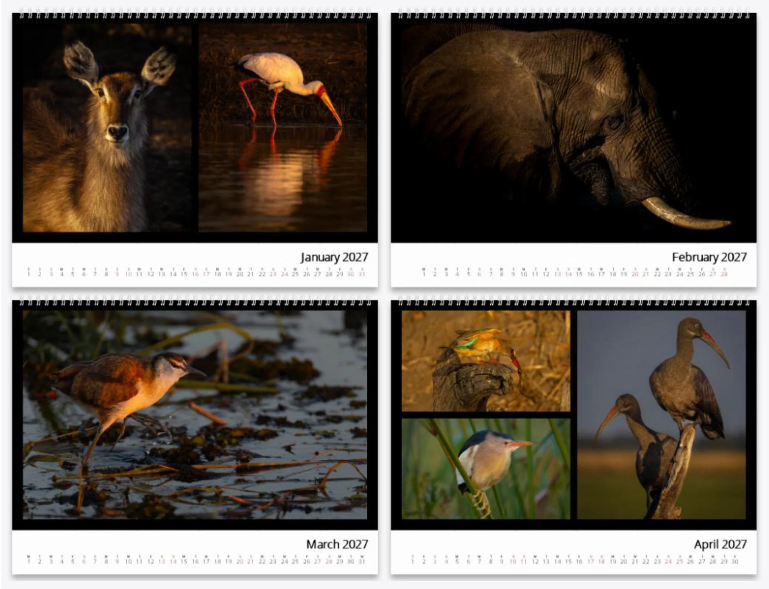 African Calendar 2.jpg