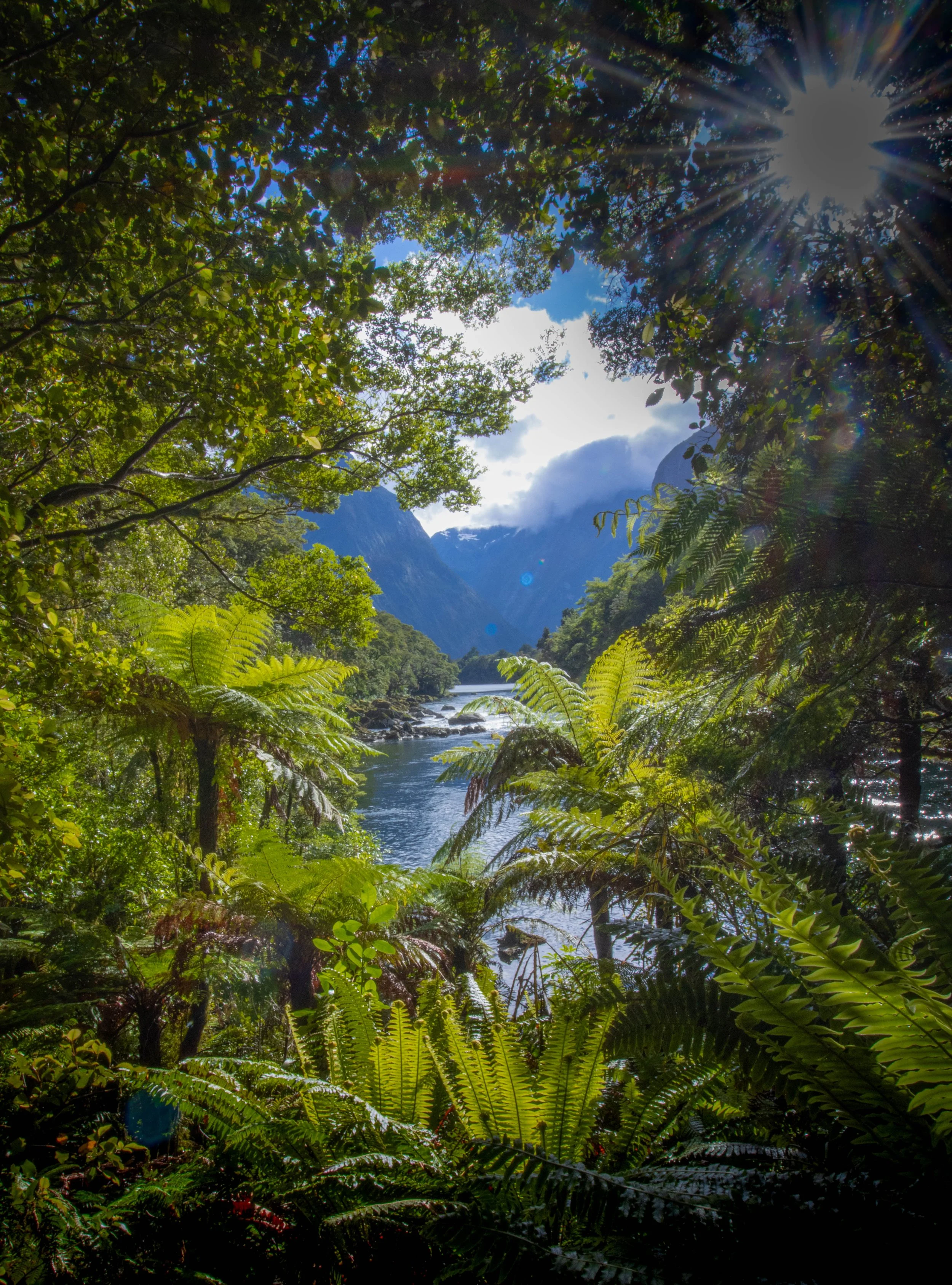 'Window' from the Milford Track, Milford Sound, New Zealand 