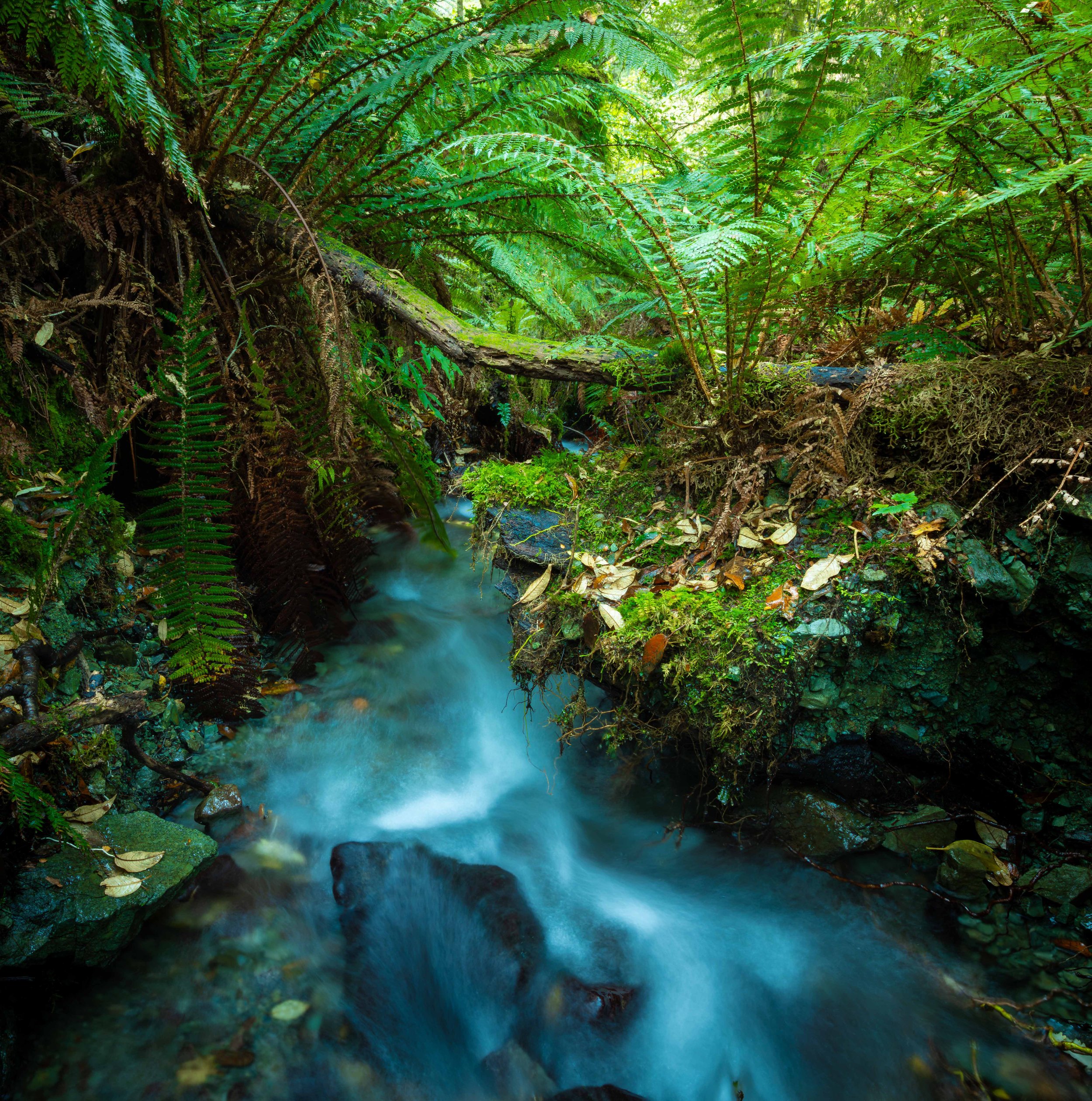 Day 4 - creek 3-b web copy.jpg
