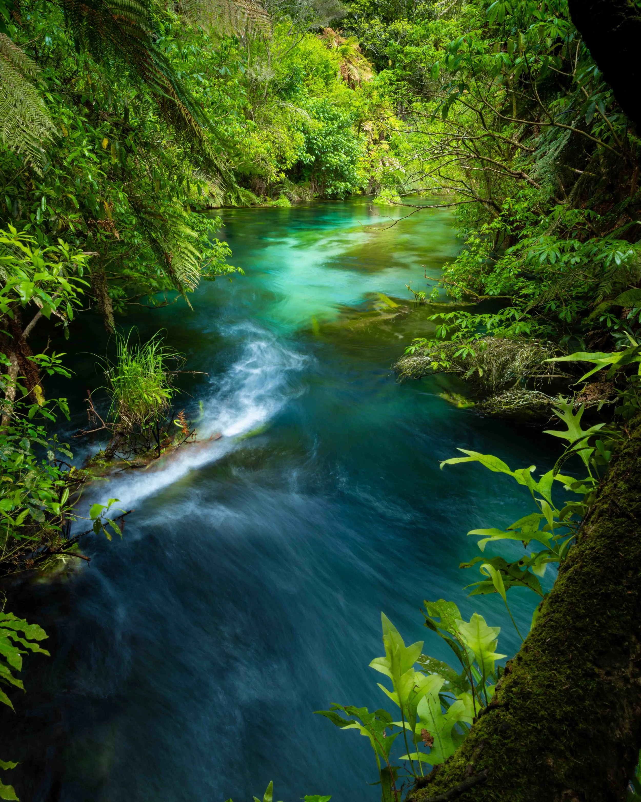 The turquoise blue spring water of Putaruru in New Zealand