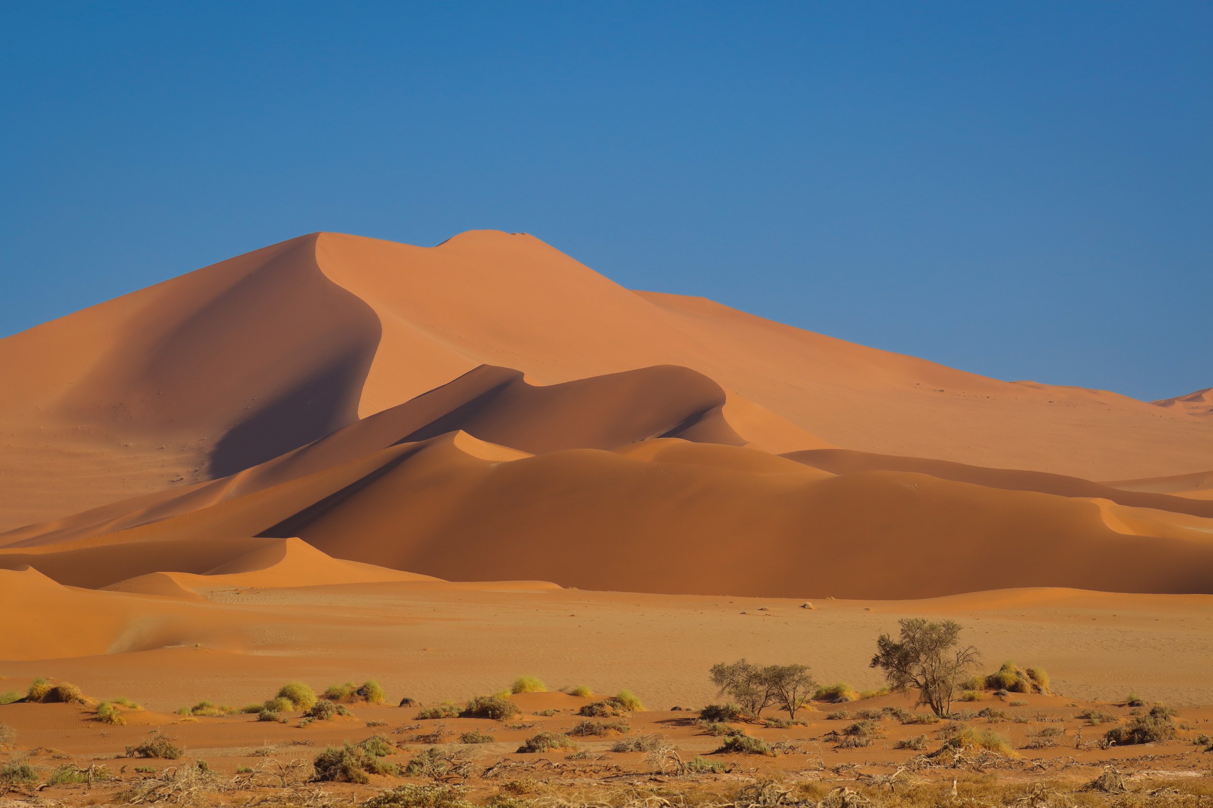 Dunes of the Namib Dessert in Namibia