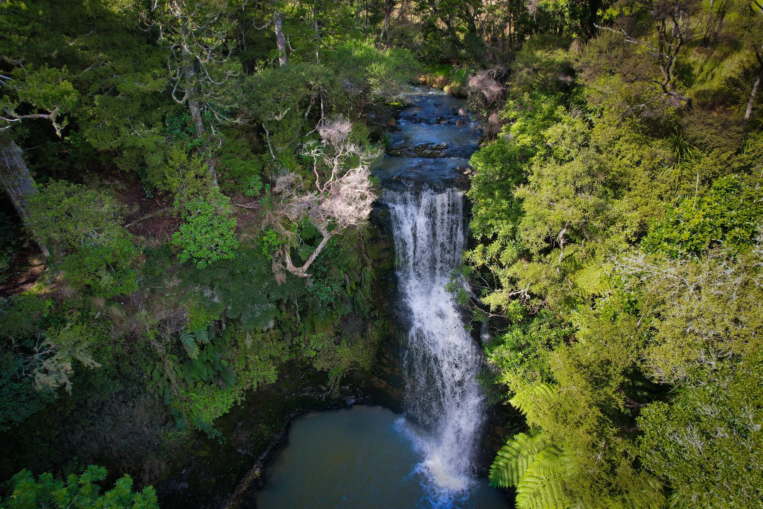 Waitangi Falls, North island, New Zealand