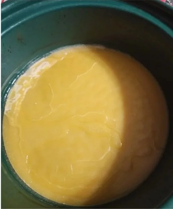 Wax+Photos.jpg