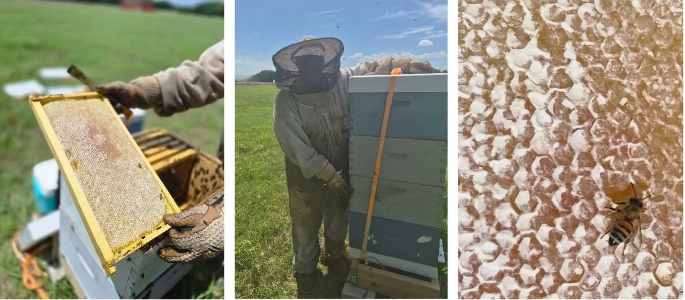3lb+Honey+Jar+2026.jpg