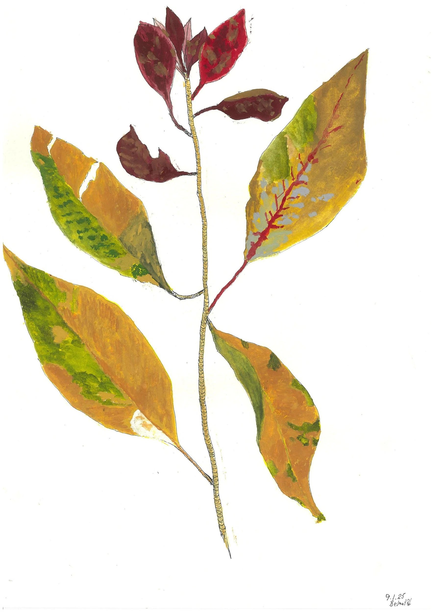 11_PDFsam_PDF_Low+Res+Colour.jpg