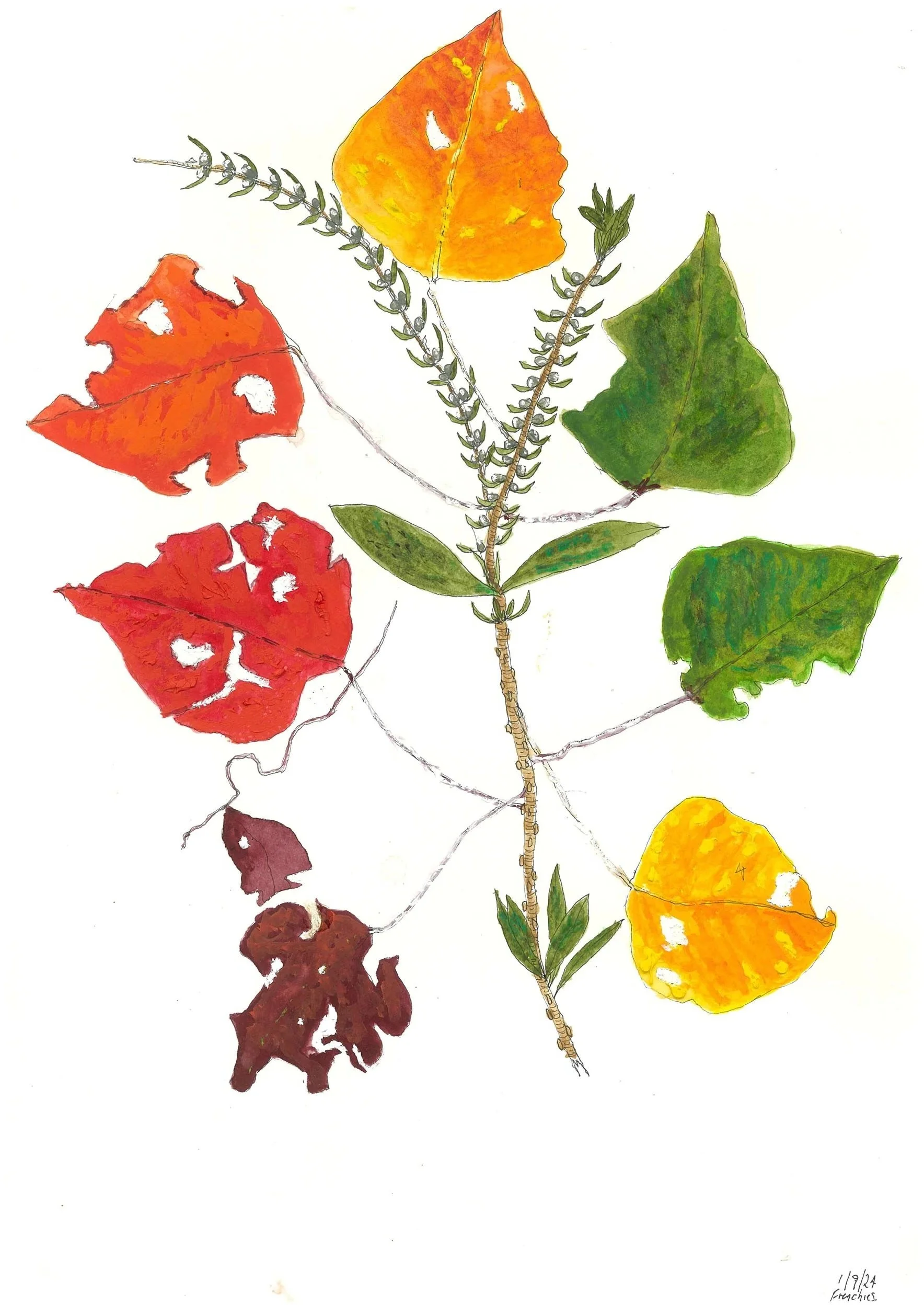 17_PDFsam_PDF_Low+Res+Colour.jpg