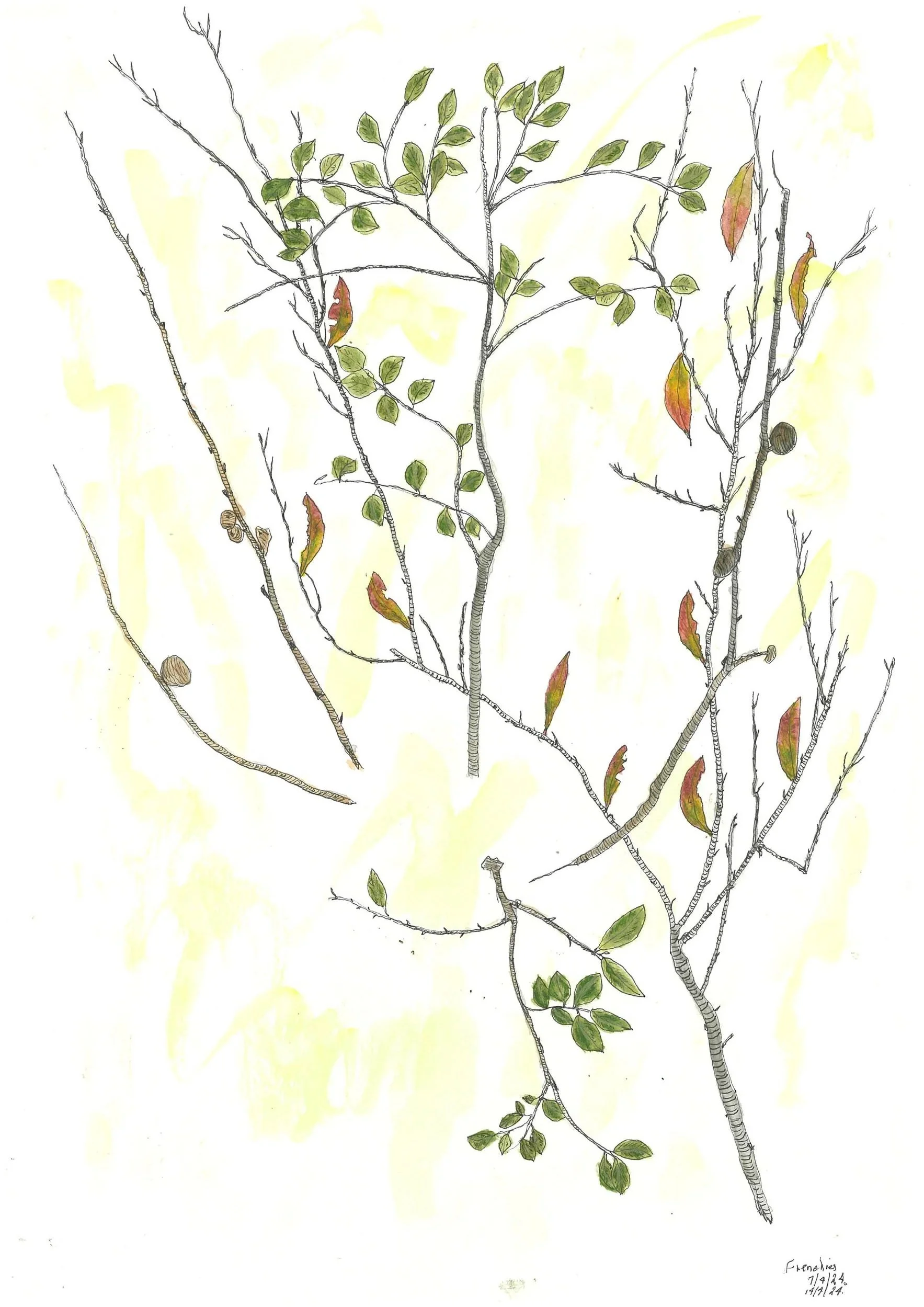 19_PDFsam_PDF_Low+Res+Colour.jpg
