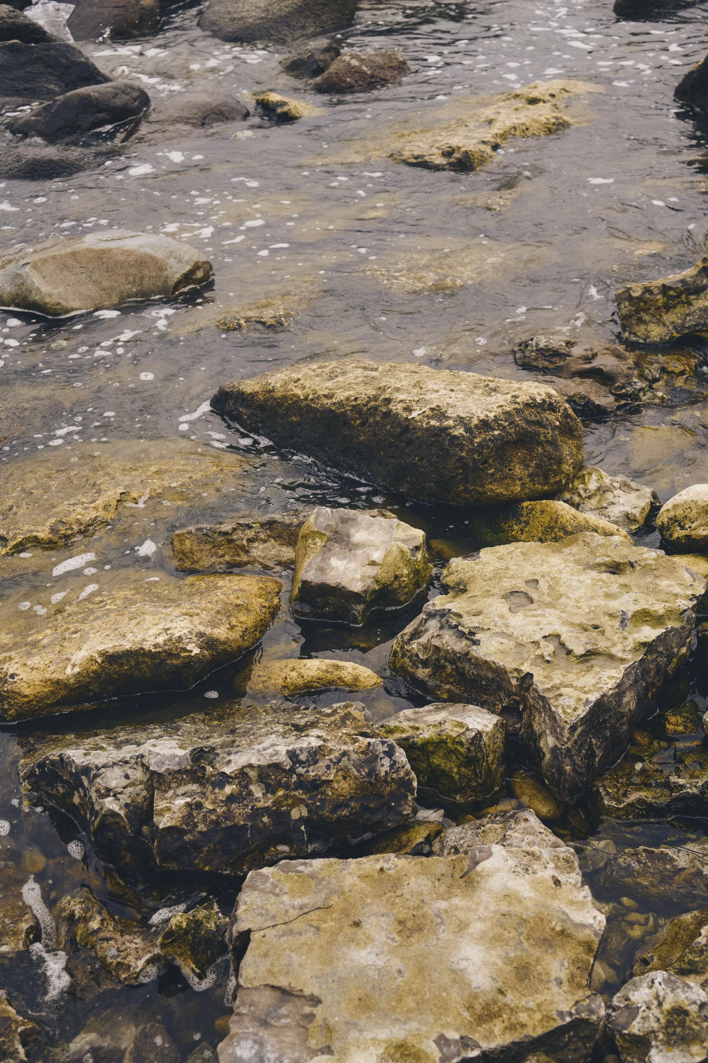 _DSC9482.jpg