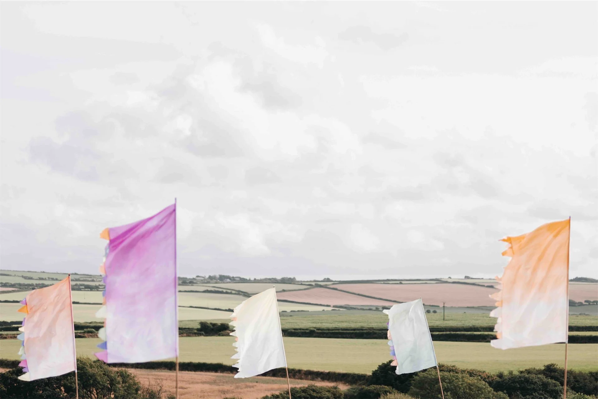 Field of Fun 52.jpeg