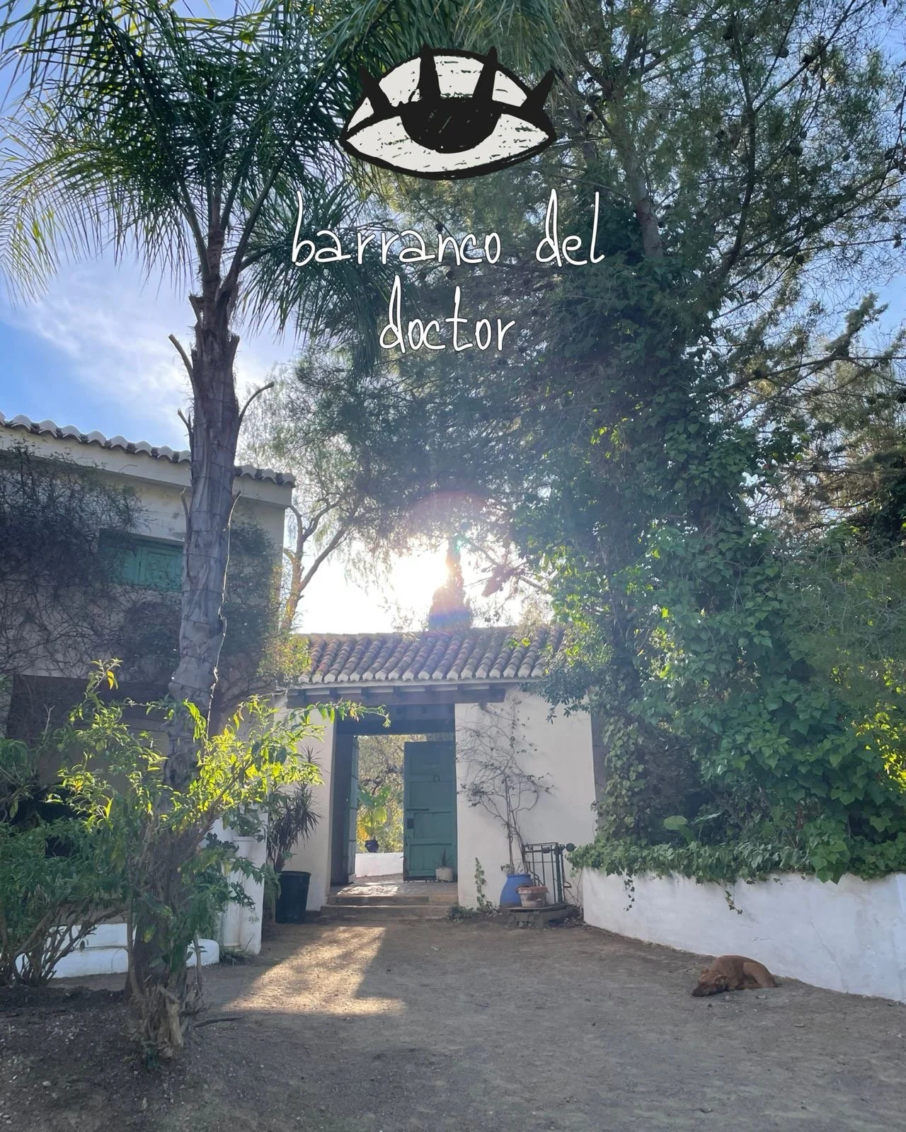 54bc8a74-1d7f-4158-8480-4543cedacd6c 2.JPG