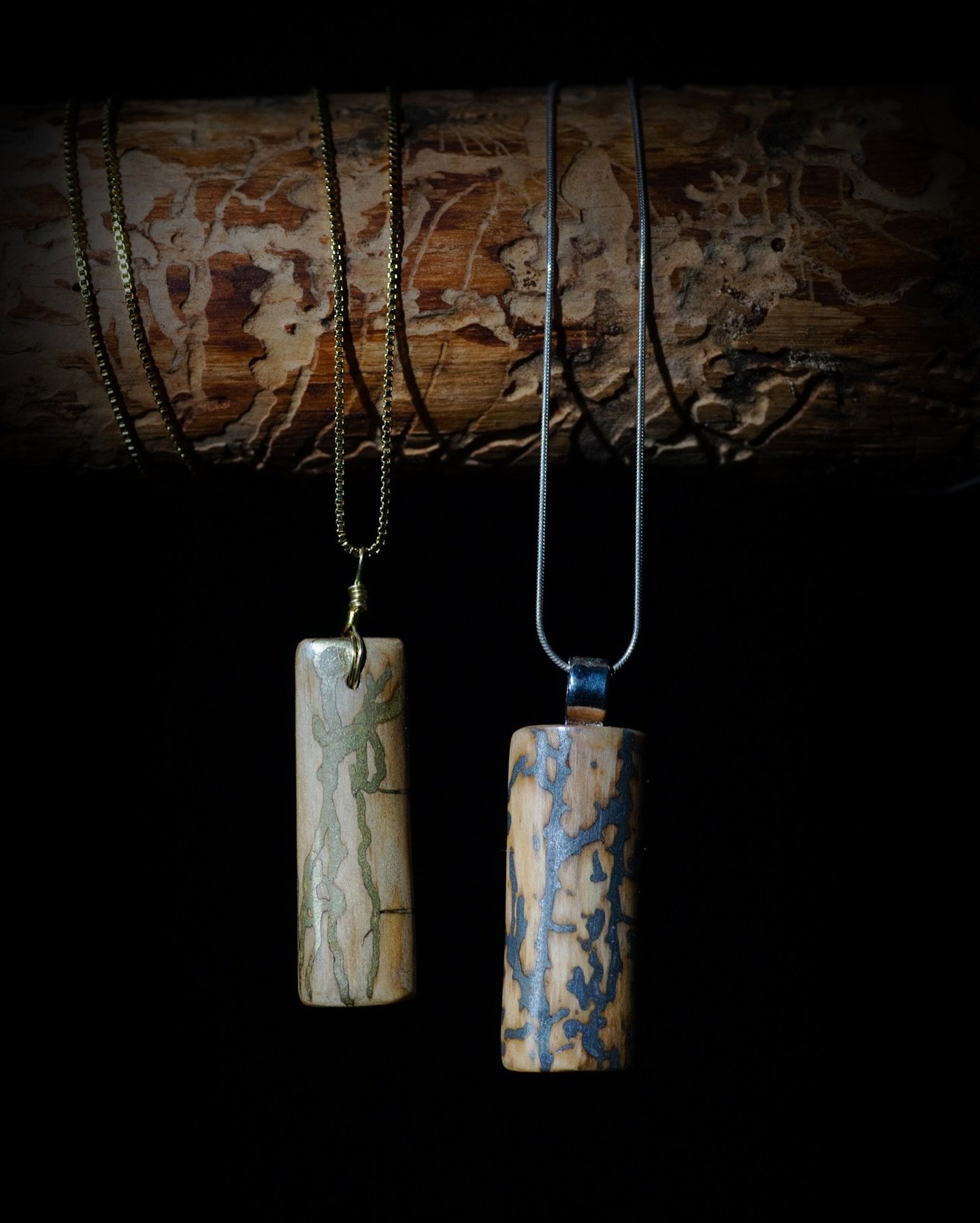 Been sitting on a backlog of these guys. 

Jewelry pieces made from inlaid bark beetles.

Photo credit: @cpburrowsphoto and thanks for letting me borrow the camera :^)