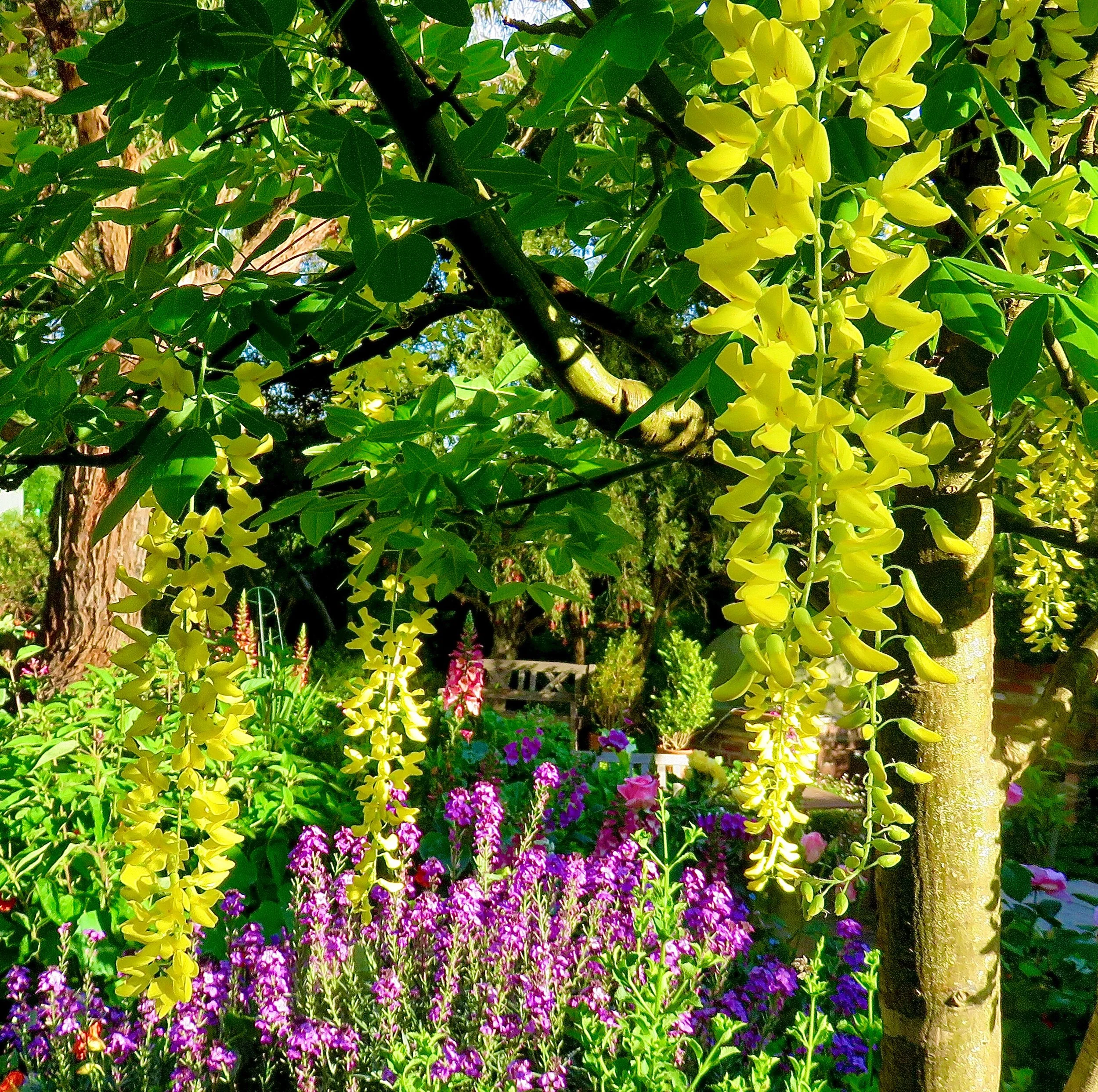 AB302DF0-0C34-4014-9FCC-3B2226E529D7 2.jpeg (Copy)