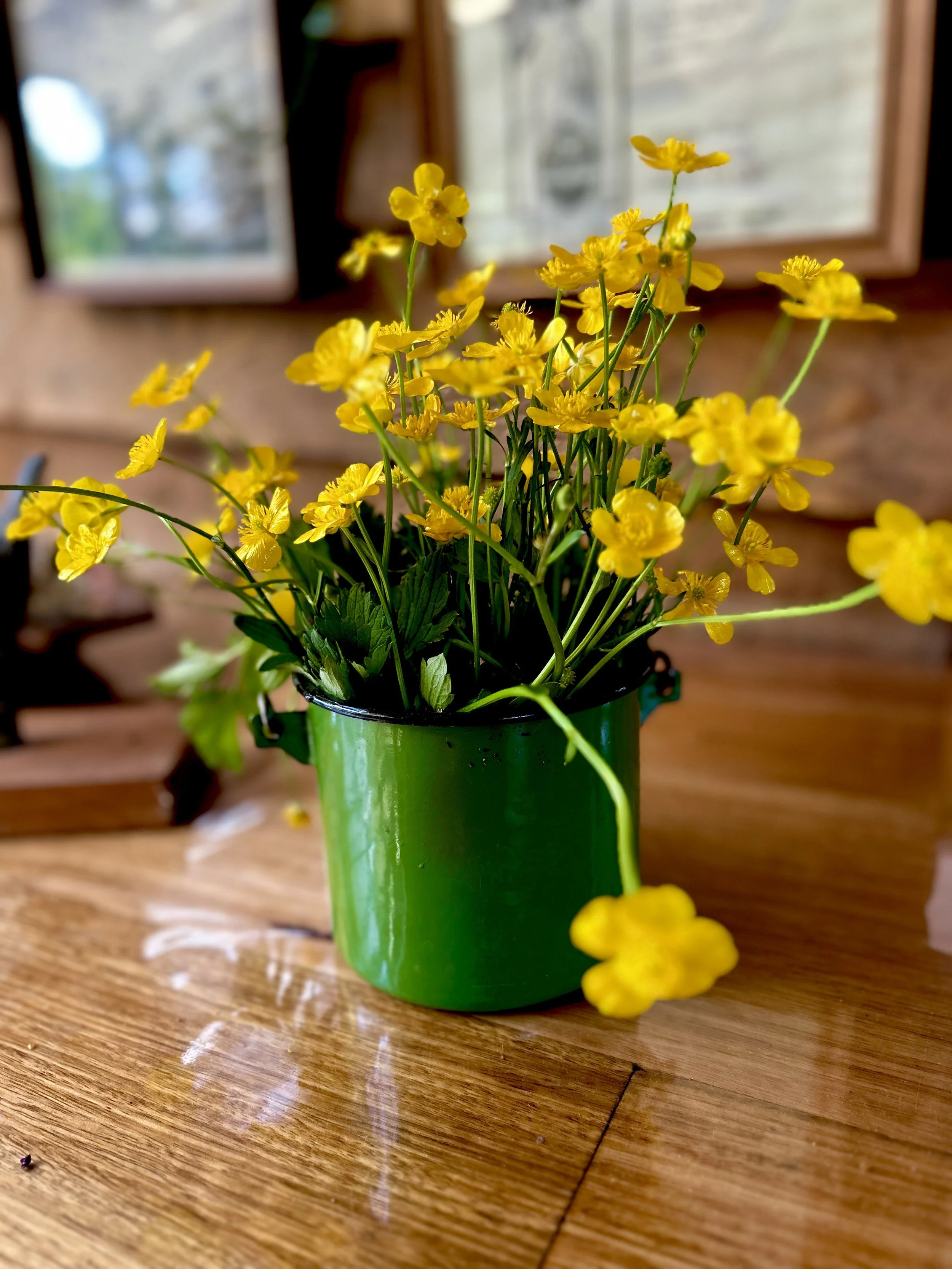 IMG_1756.jpeg (Copy)