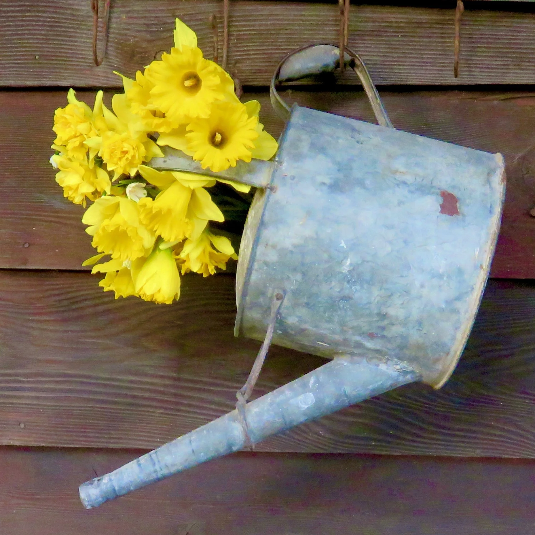 IMG_6422.jpeg (Copy)