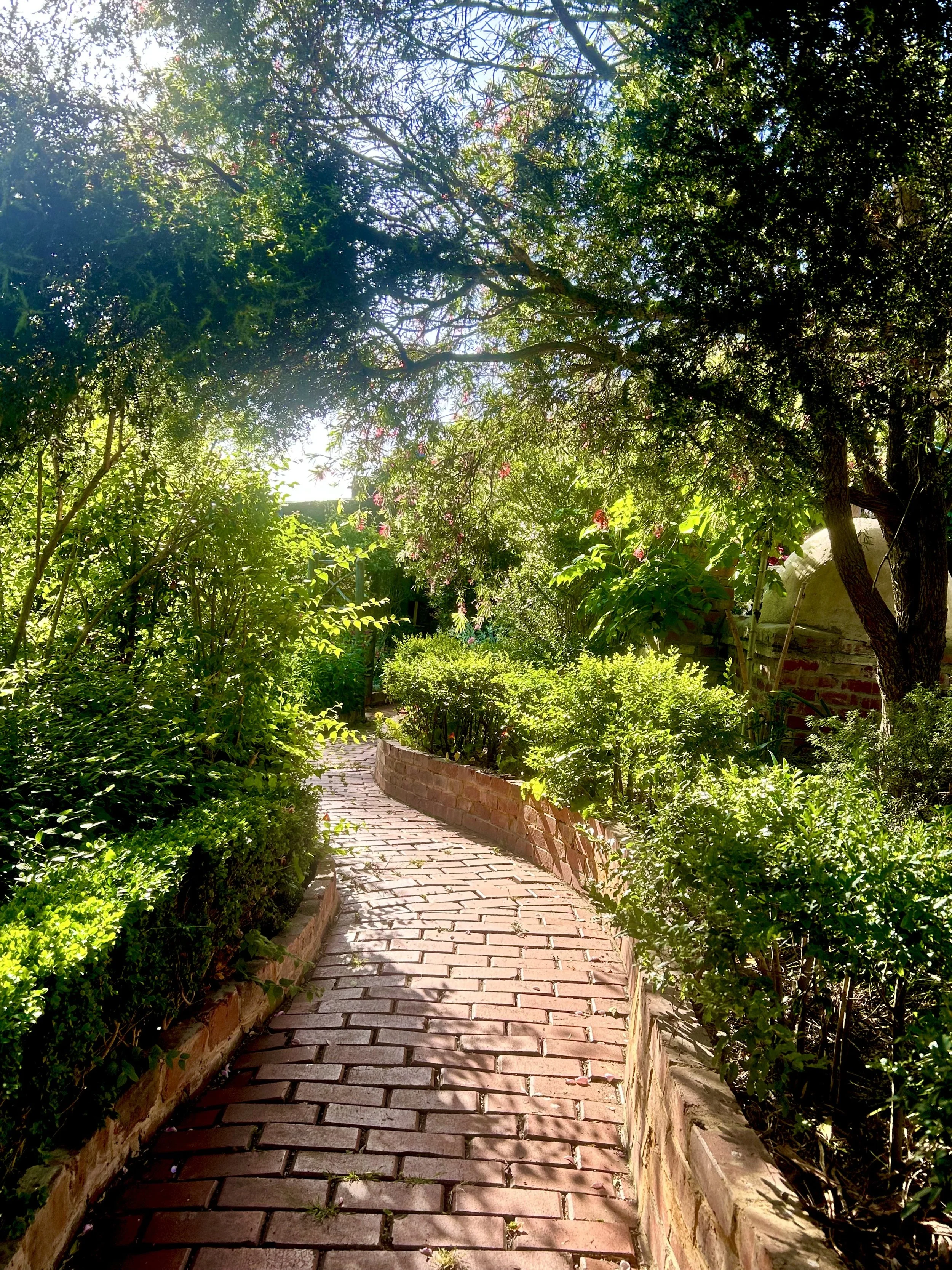 IMG_5927.jpeg (Copy)