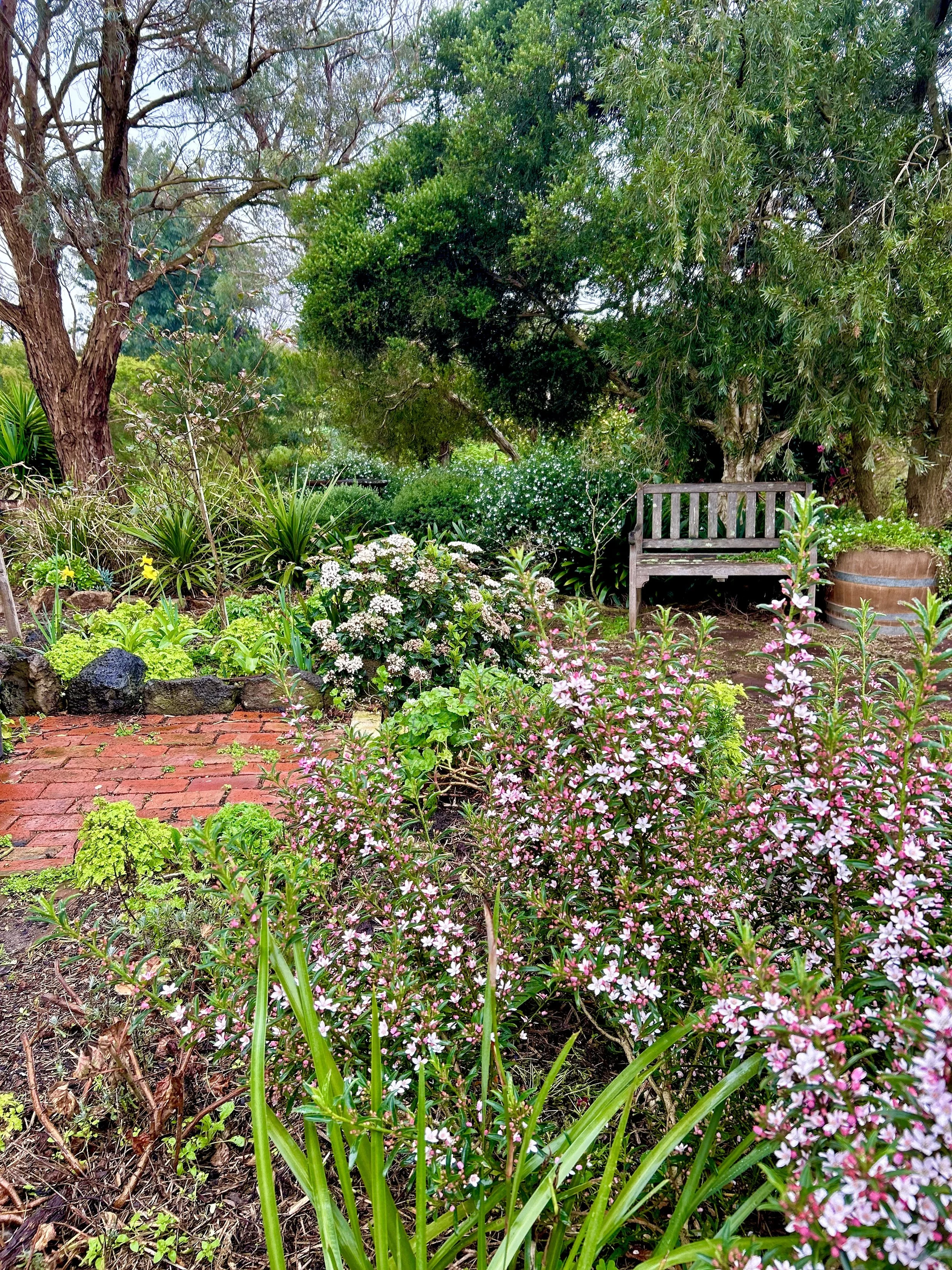 IMG_4568.jpeg (Copy)