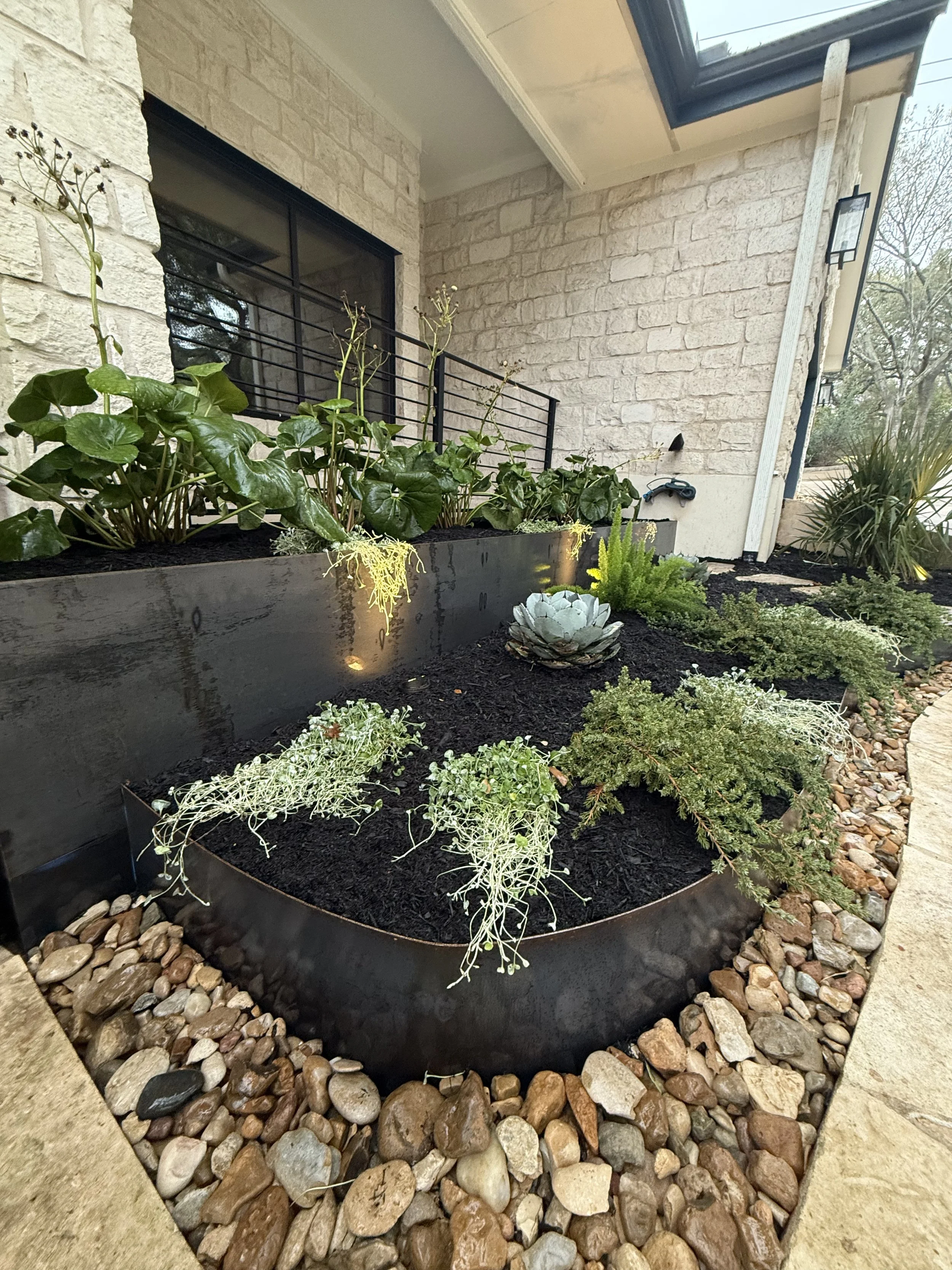 Custom modern tiered planter bed by Golden View Landscape Design featuring black steel edging, dark mulch, agave, and native Texas plants against a light stone exterior in Austin.