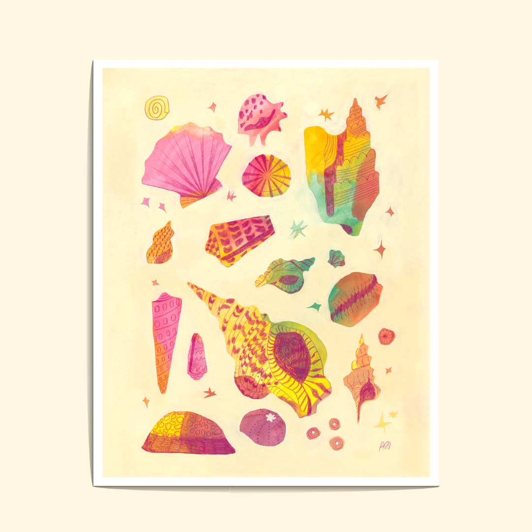 The Colorful Shell Collection