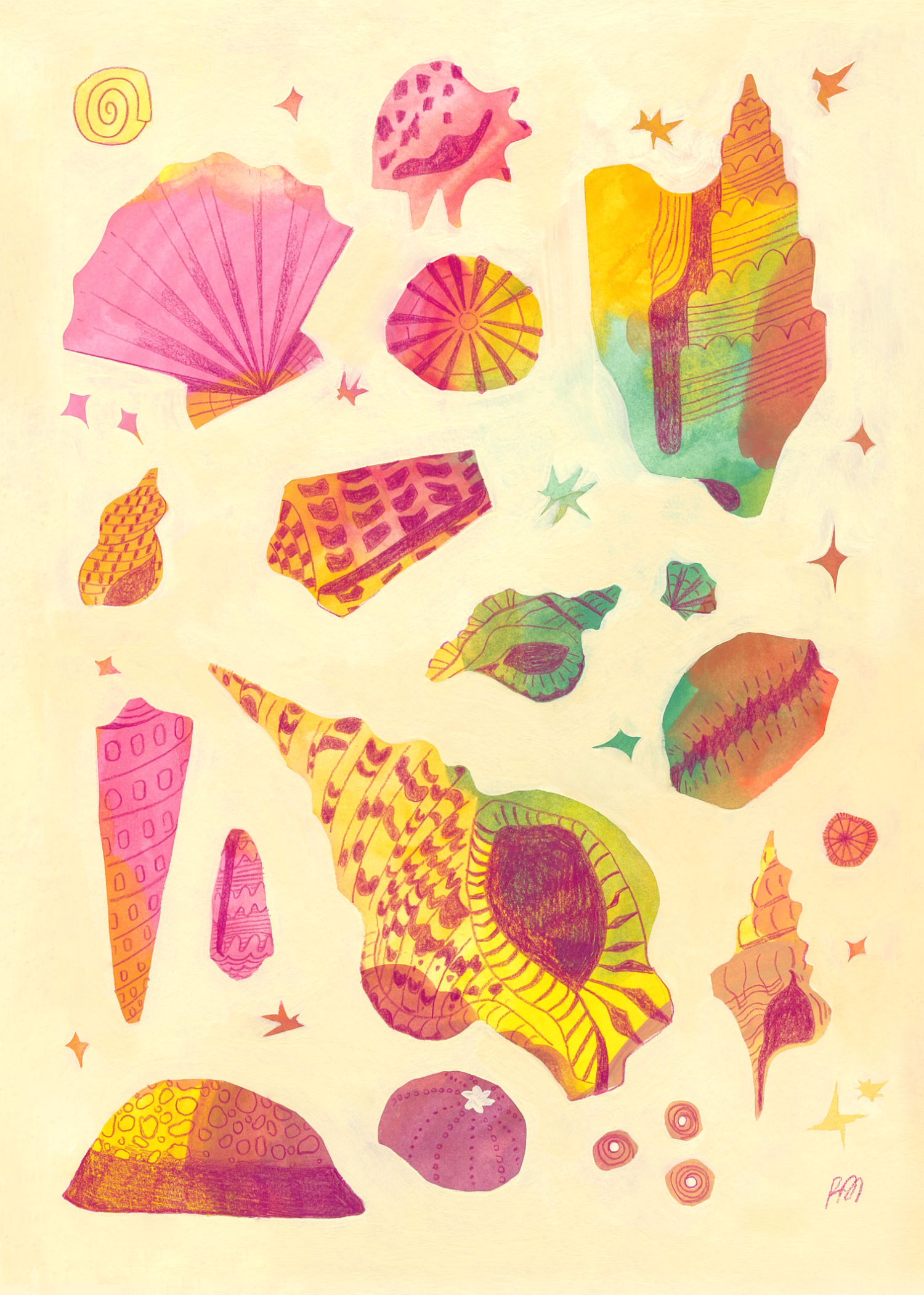 The Colorful Shell Collection