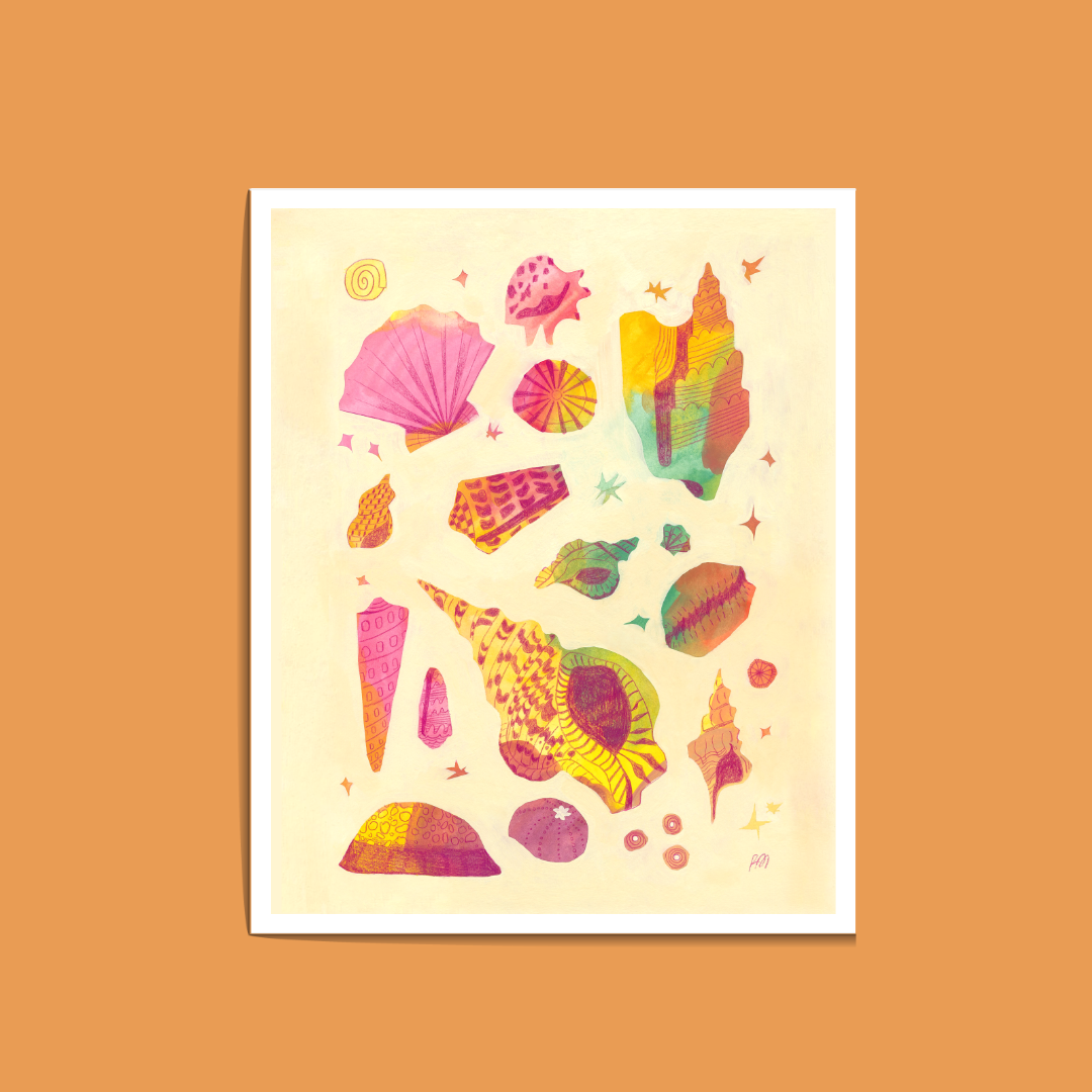 Colorful Shell Collection.png