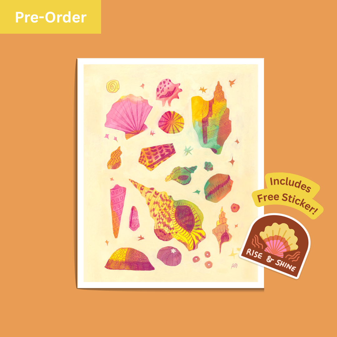 The Colorful Shell Collection