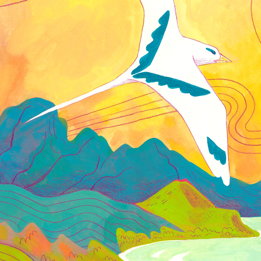 Koae Kea-close-up.png