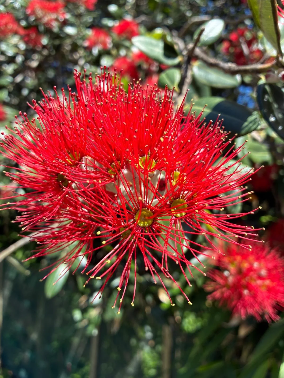 We’re Back for 2026!