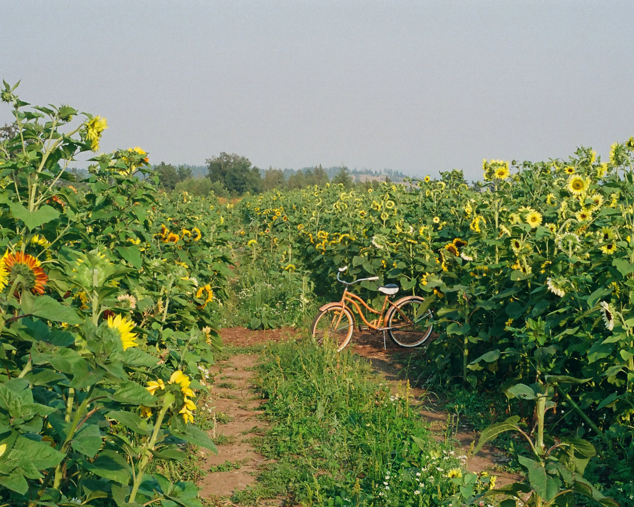 0014_12 2-Enhanced-SR.jpg