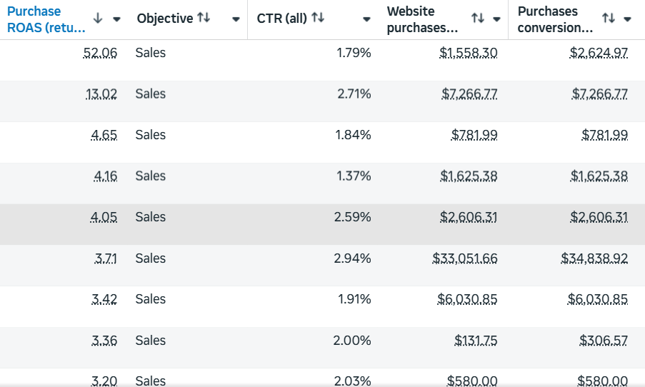 Meta Ads campaign spend and return
