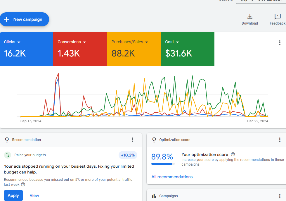 Digital marketing analytics dashboard showing campaign performance metrics, including 16.2K clicks, 1.43K conversions, 88.2K purchases/sales, and $31.6K cost with a line graph of data trends from September to December 2024.