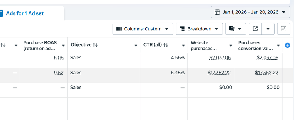 Meta Ads campaign results