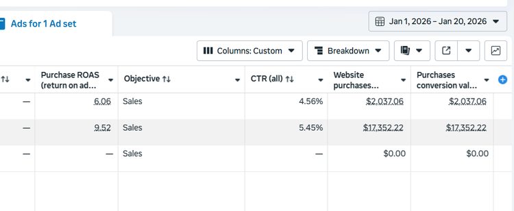 Meta Ads results