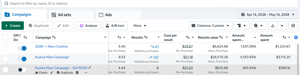 Meta Ads conversions and spend