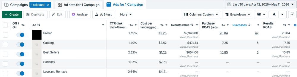Meta Ads campaign performance