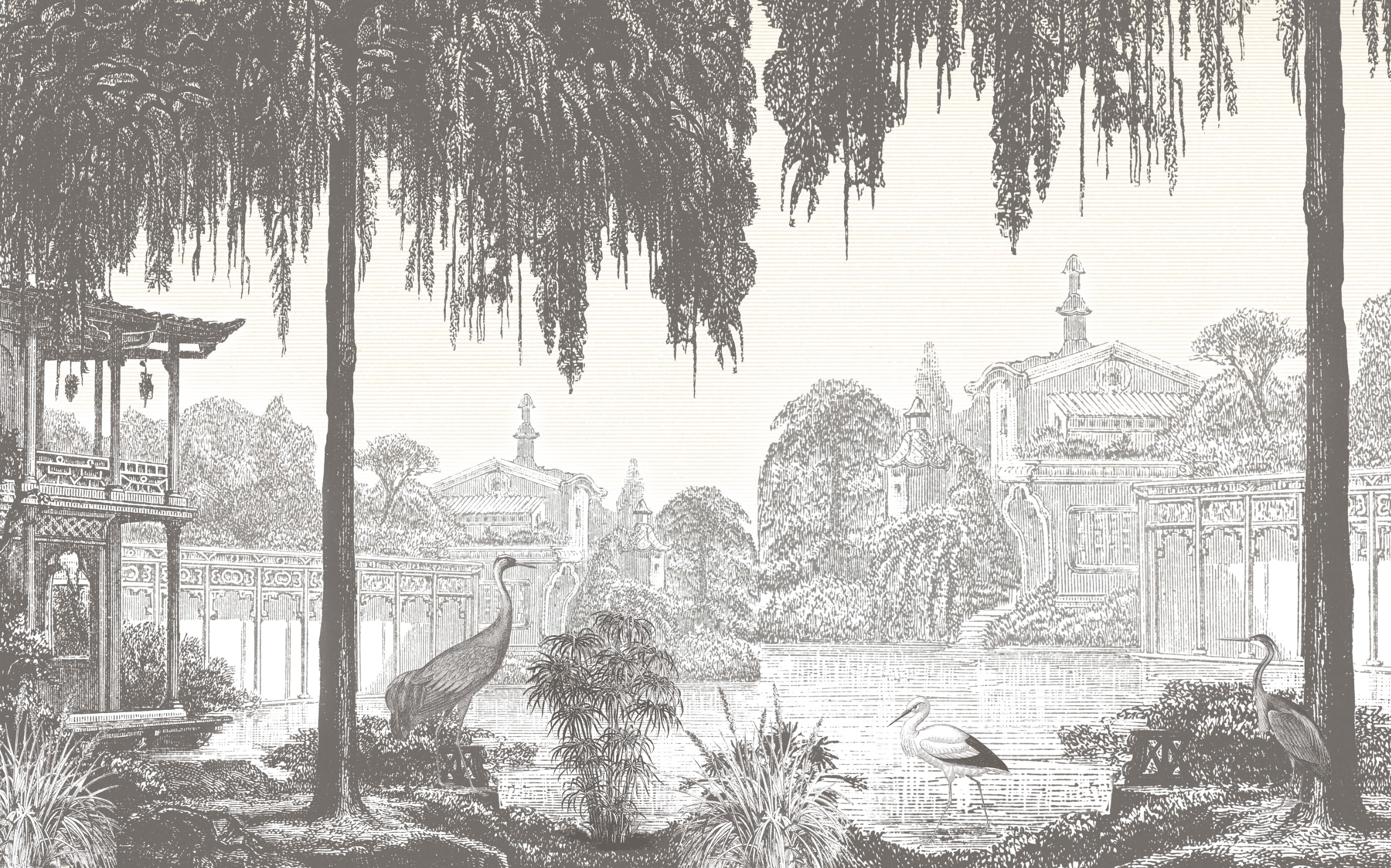 Asia Mono